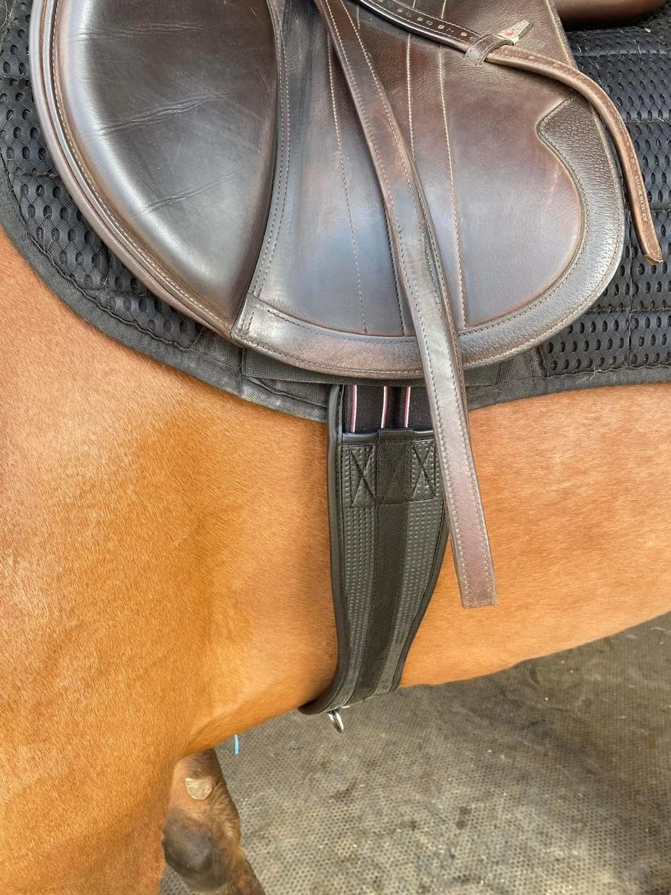 Preto Sangle synthétique pour selle de cheval confortable en néoprène gaufré - Sangle équine anti-frottement - Extrémité élastique - Contour noir anatomique/ergonomique - Sangle de saut en PVC (130