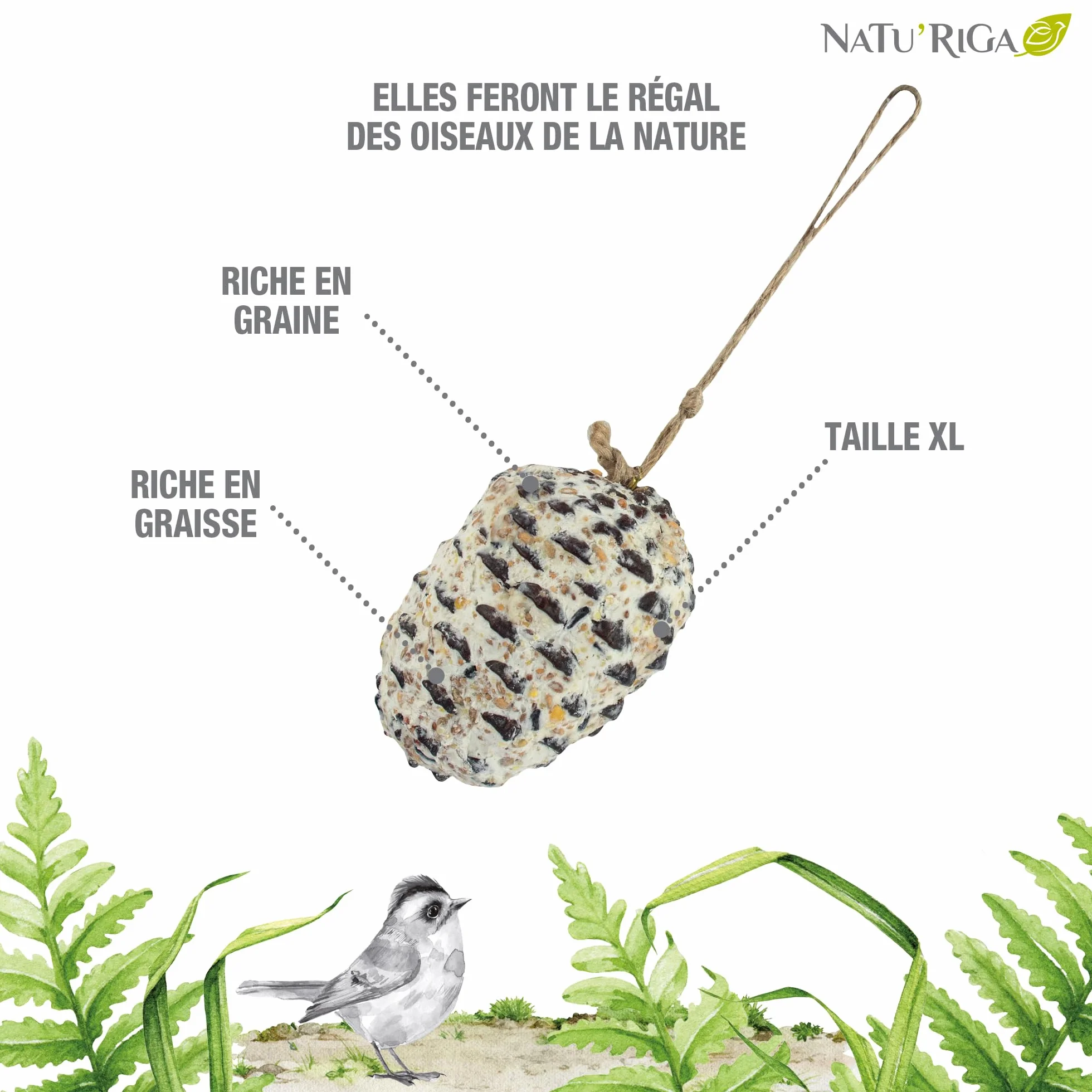 NATU'RIGA Pomme De Pin Géante Nourriture Oiseaux Extérieur 350G