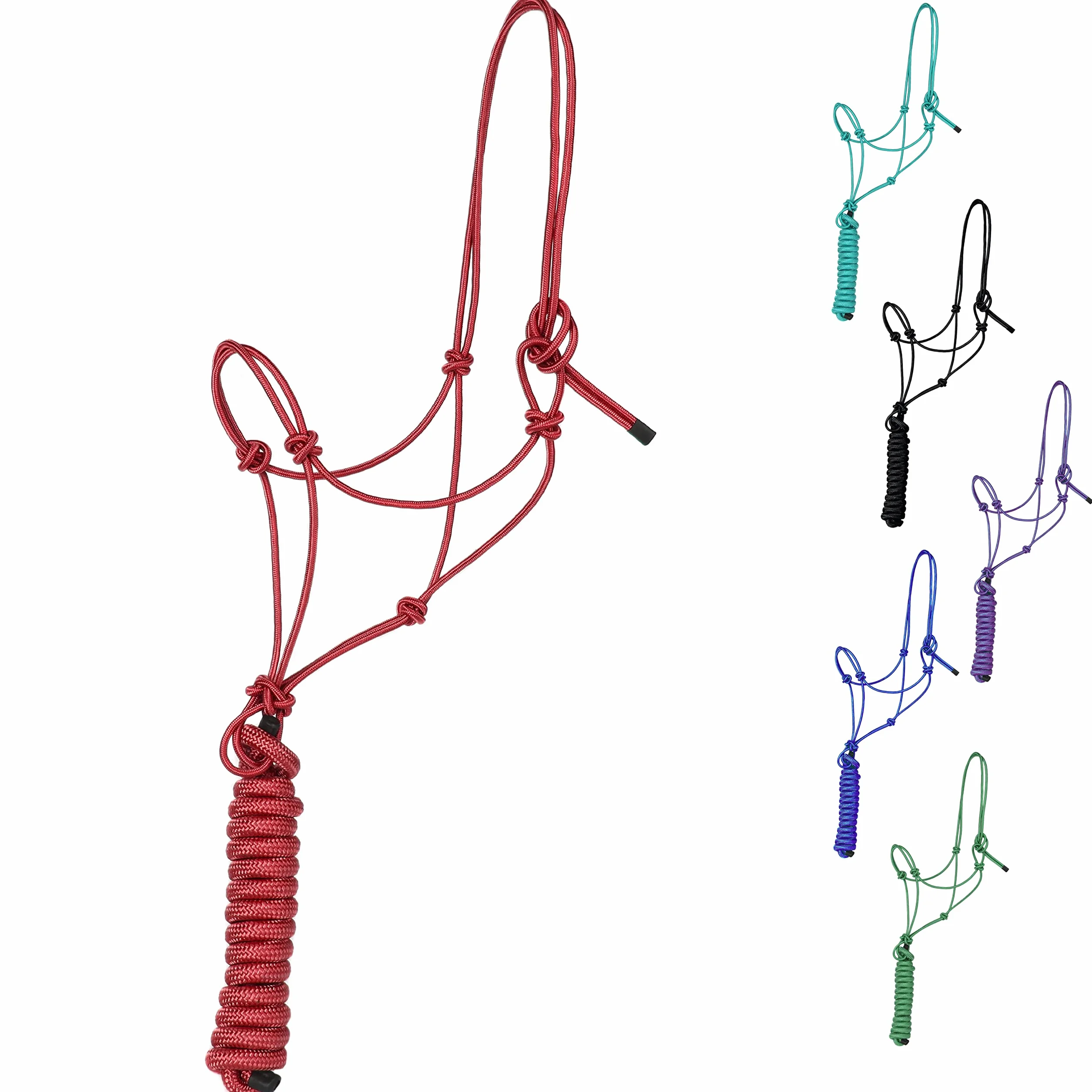Majestic Ally 1/4 pouce de corde 4 nœuds licol de dressage en polyester rigide avec longe assortie de 3 m pour chevaux – complet (rouge, plein)