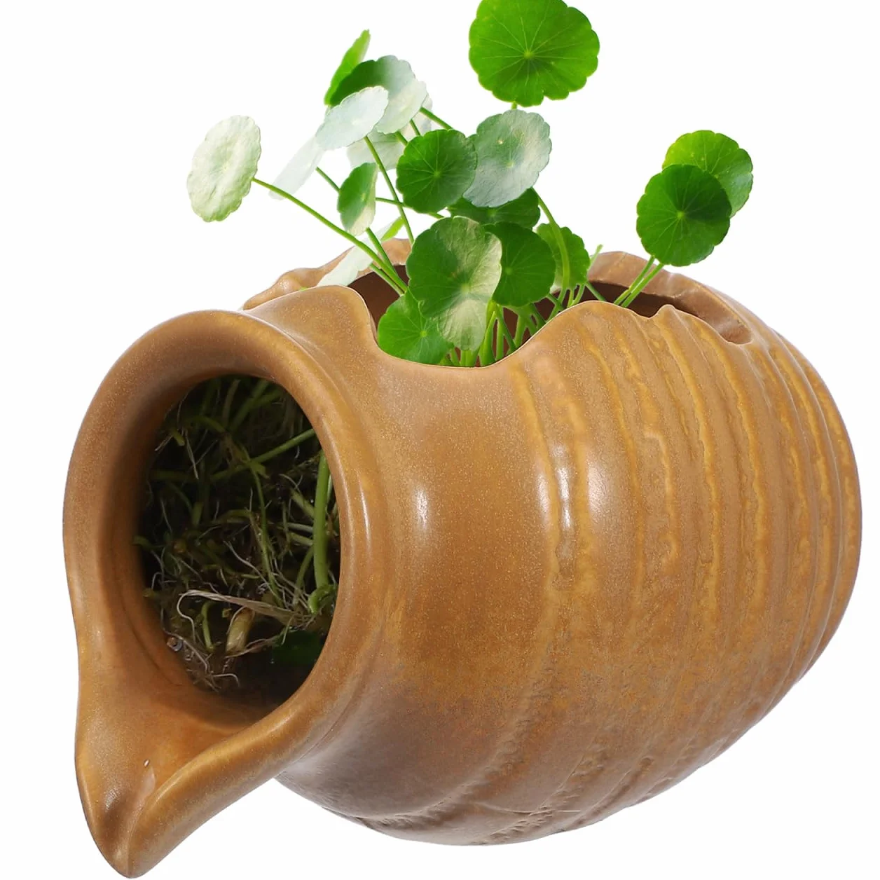 Pot Céramique pour Fontaine à Eau 12.4cm Brun Clair