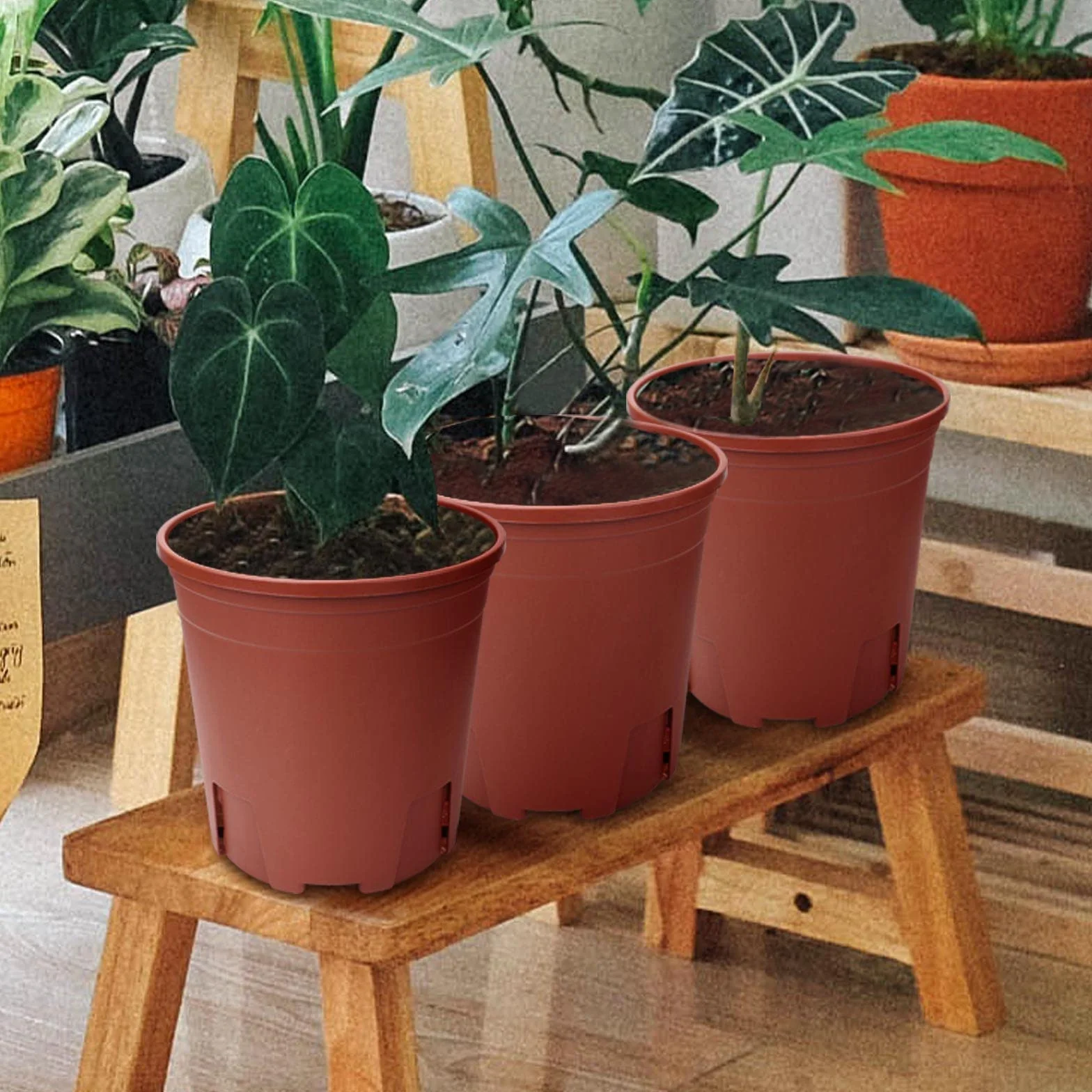 Pots de Fleurs Plastique 11cm 5pcs avec Drainage Rouge Intérieur Extérieur