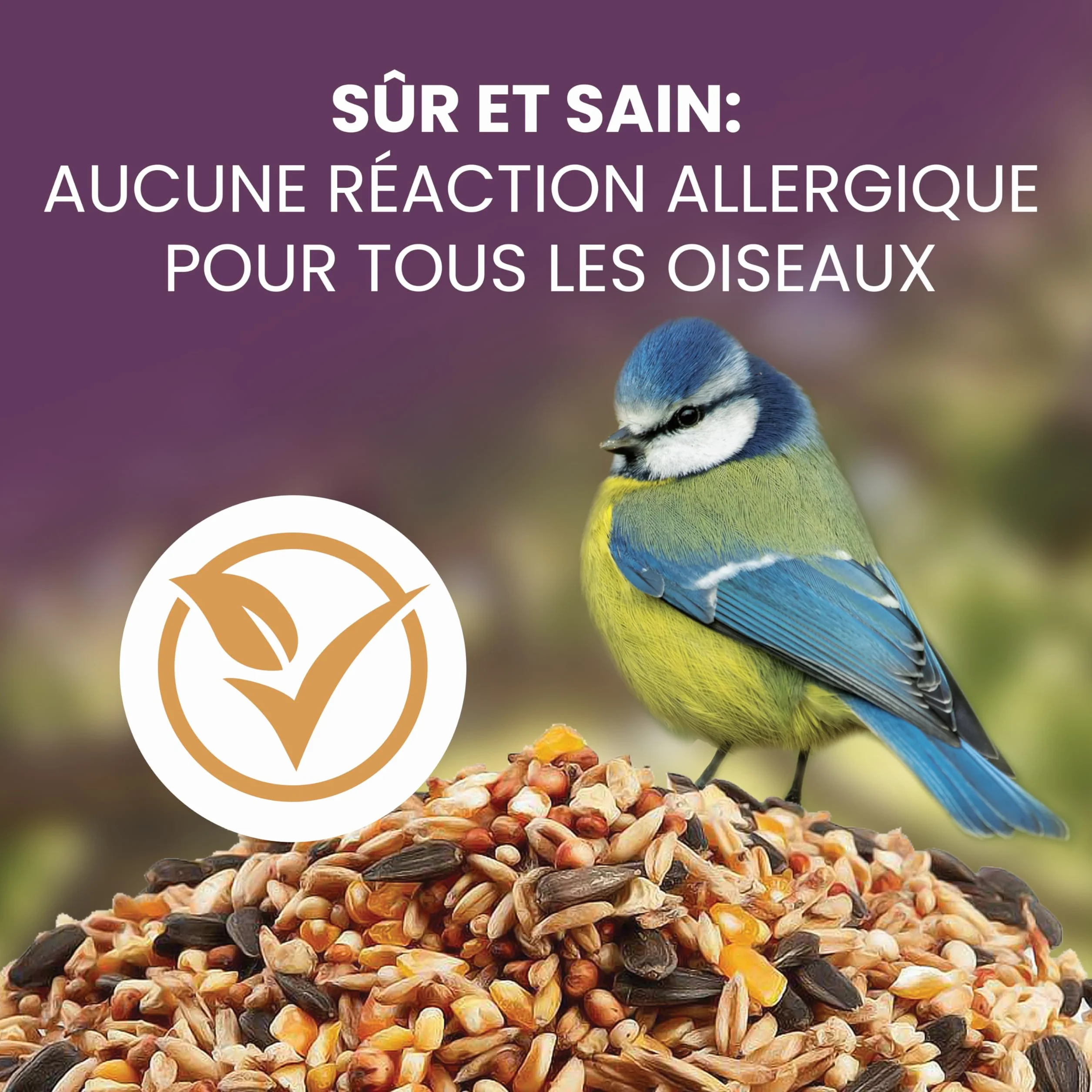 Graines Oiseaux Sauvages 1,7kg Mélange Nourriture Oiseaux Exterieur Jardin Hiver