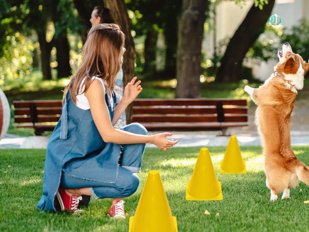 Cônes d'Entraînement 18cm Plastique pour Football, Signalisation, 15 Pièces
