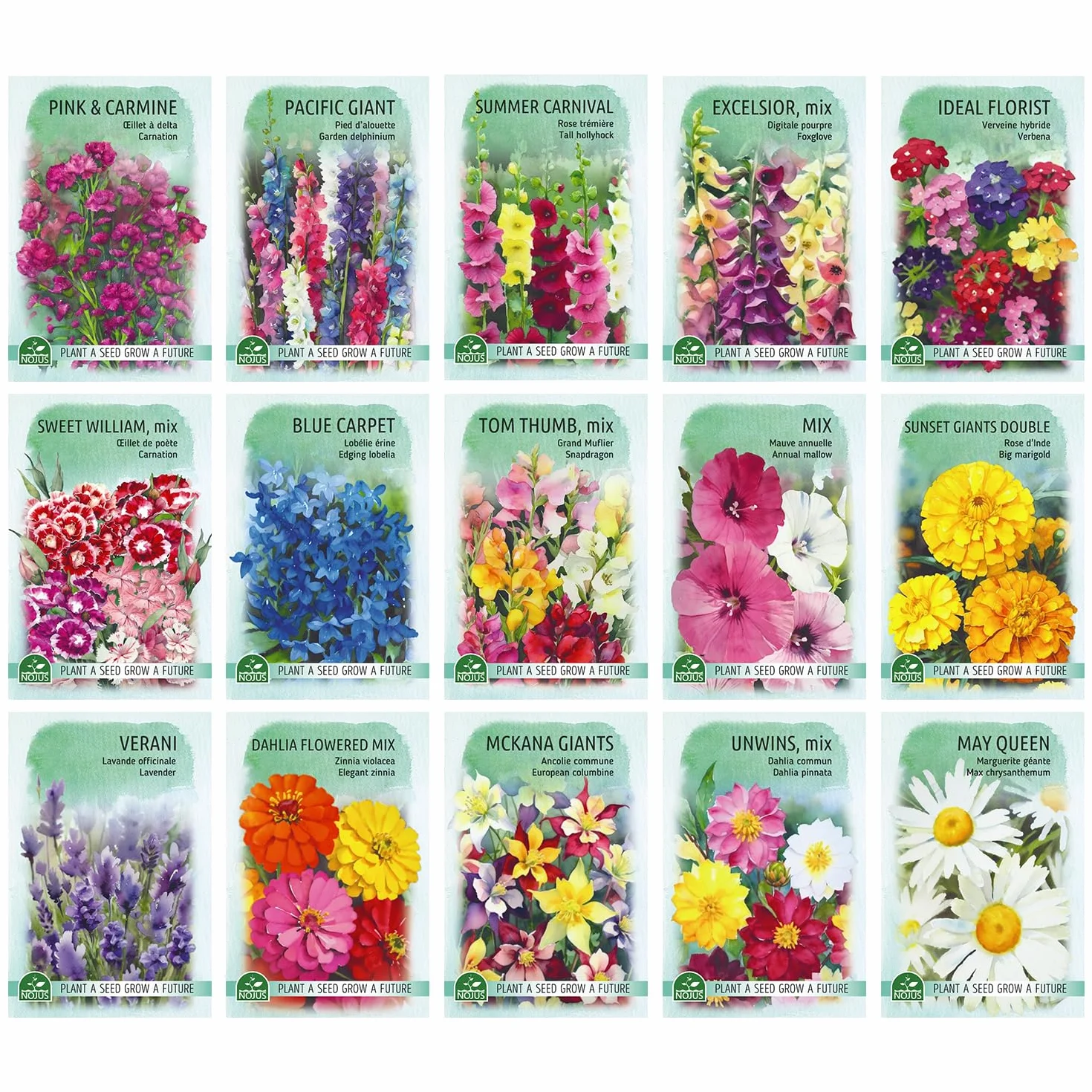 RHS Collection de graines de fleurs - 15 variétés de jardin respectueuses des abeilles