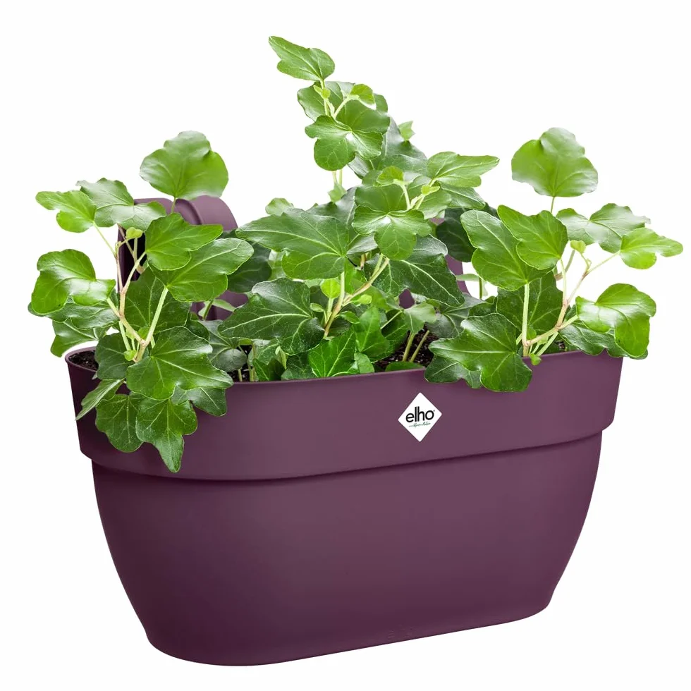 Elho Vibia Campana Easy Hanger M 36 Planteur Balcon Extérieur Ø 36 x H 26.5 cm Violet Mauve Érable