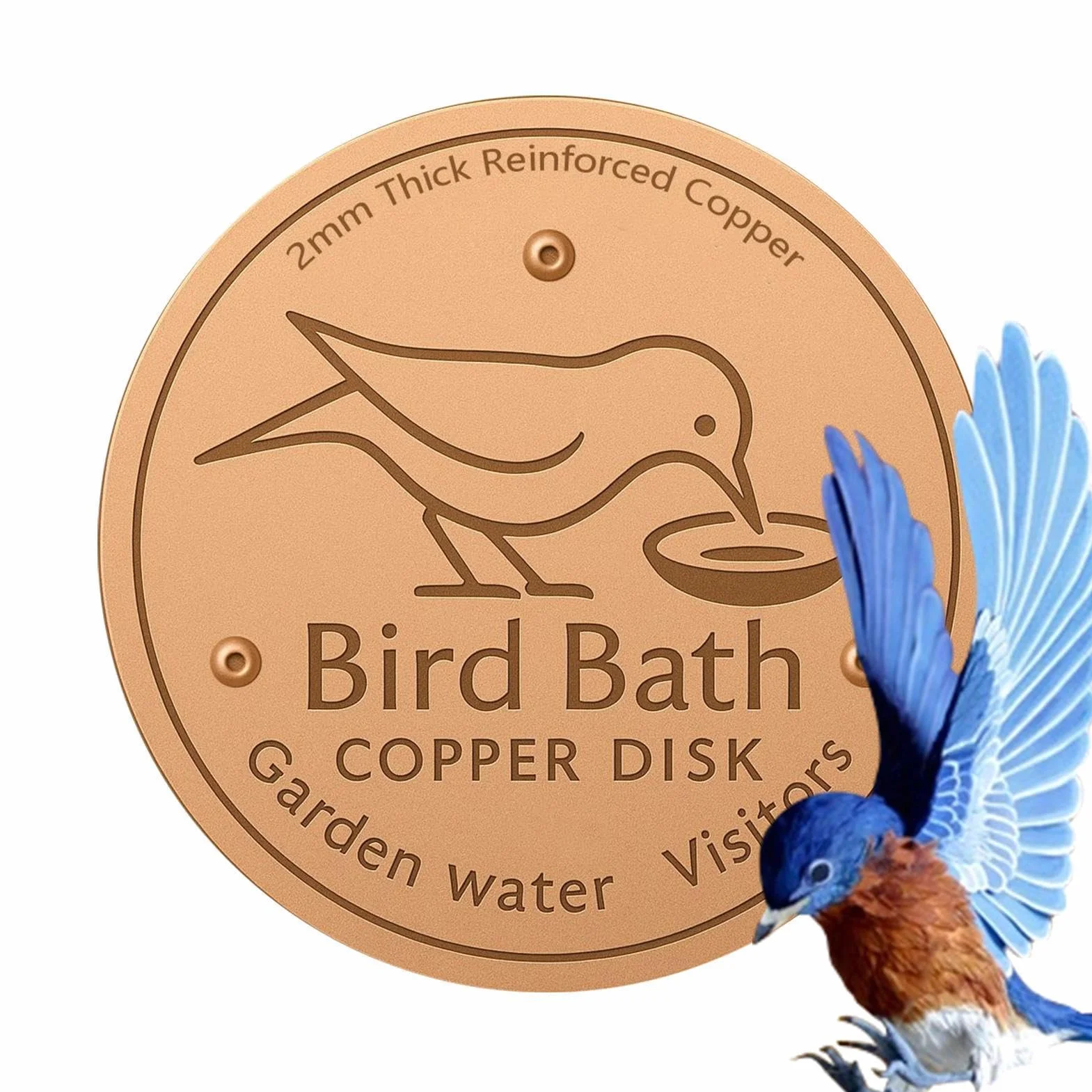 Plaques en Cuivre pour Bain d'oiseaux 10cm Disque De Nettoyage Support À Trois Points