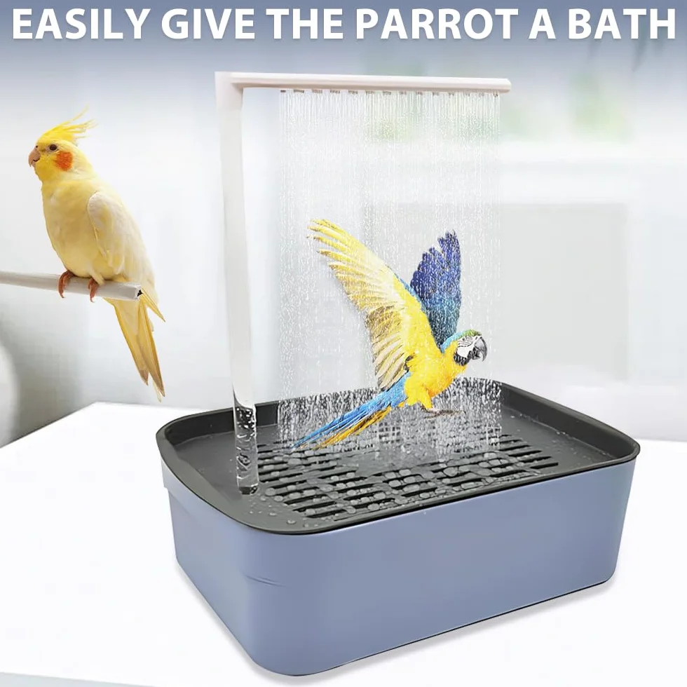 Douche à oiseaux automatique avec circulation d'eau pour perruches, pivoines et perroquets taille moyenne