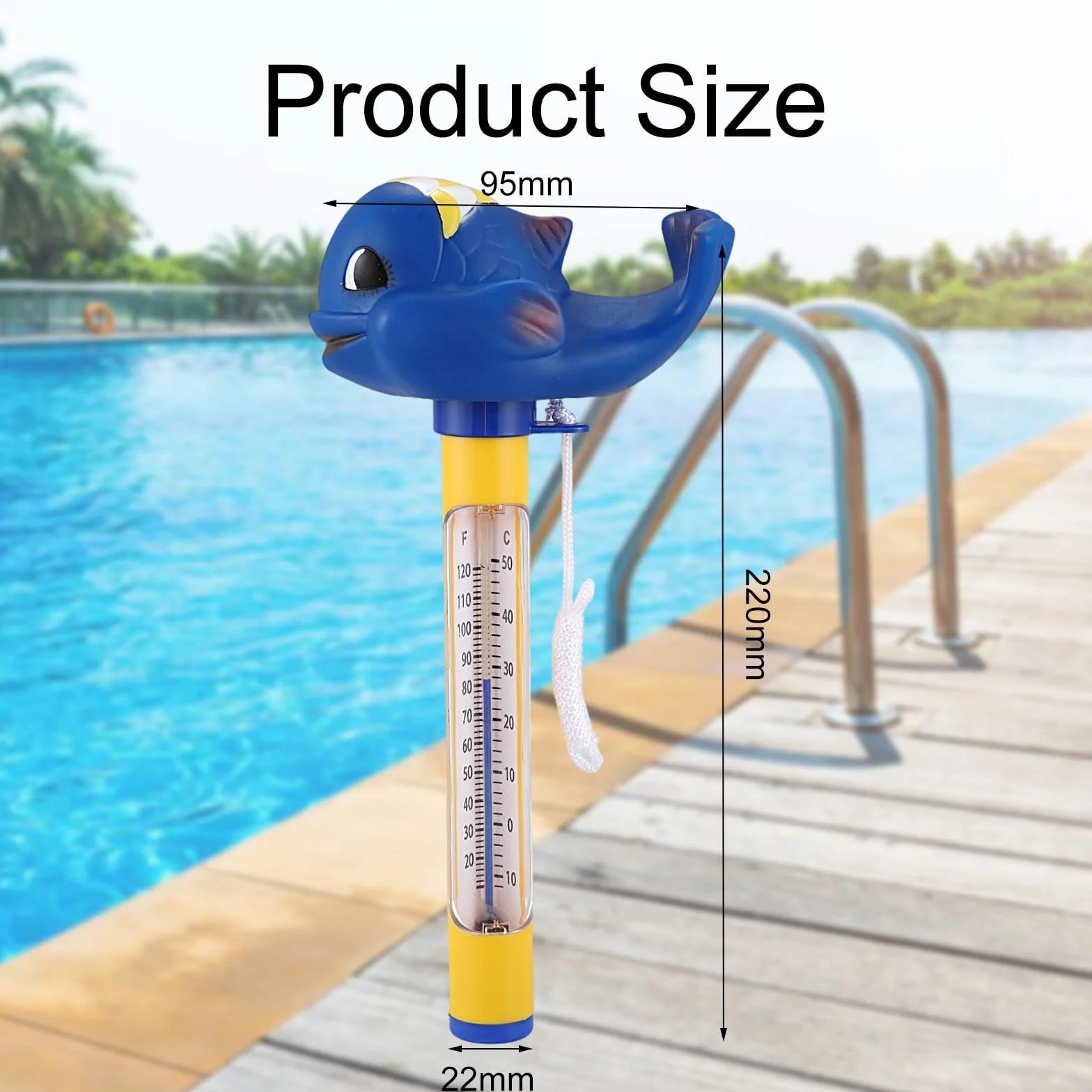 Thermomètre Piscine Flottant avec Ficelle, Précision Température Eau pour Spas, Aquariums