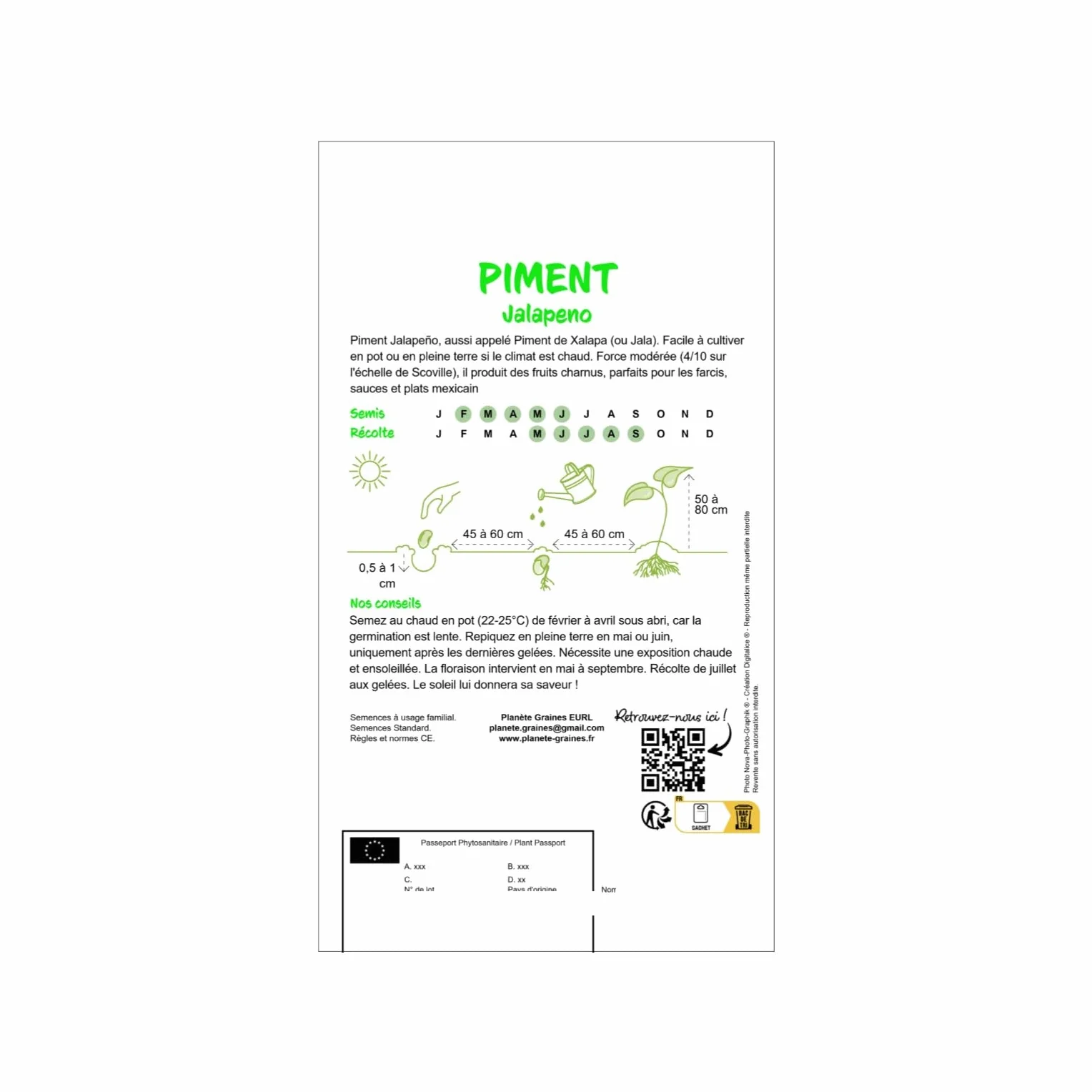 Nasiona Jalapeño Piment - Pikantny 4/10 Scoville - Capsicum annuum - Apéritif