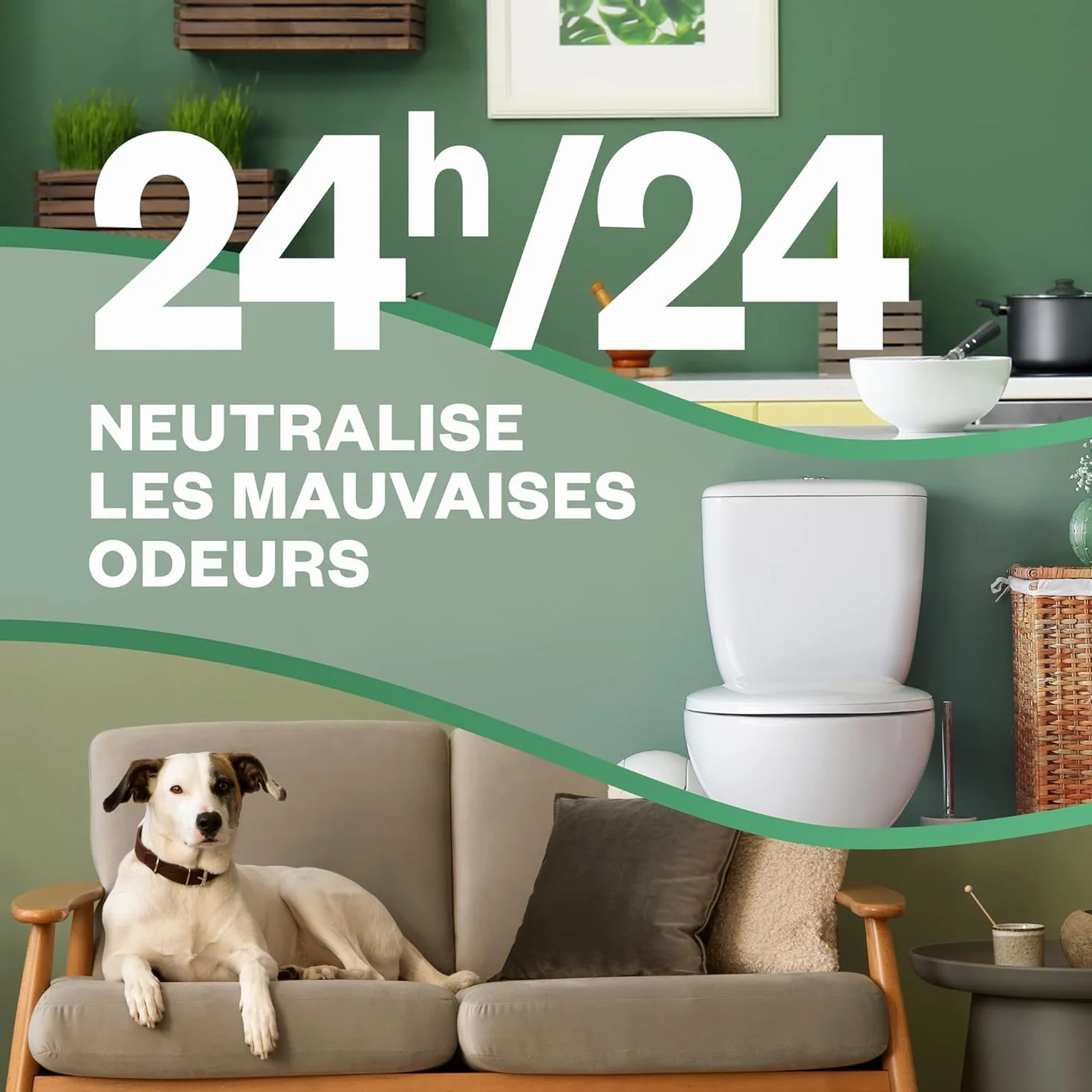Air Wick Désodorisant Maison Spray Automatique Sans Gaz Active Fresh 1 Diffuseur 2 Recharges Fleur de Cerisier Framboise