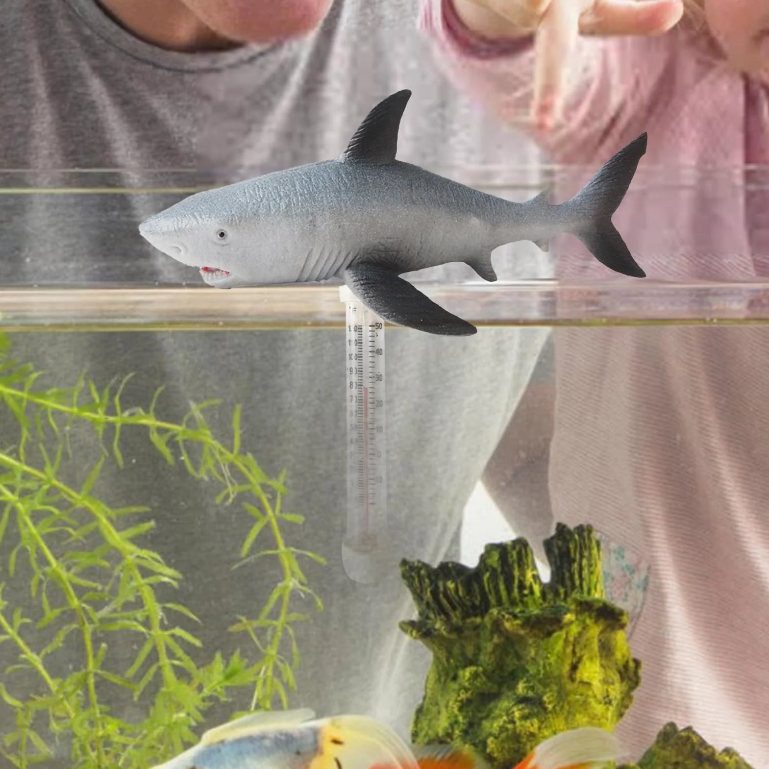 Thermomètre Flottant pour Piscine, Jauge de Température d'Eau Flottante Animal avec Cordon