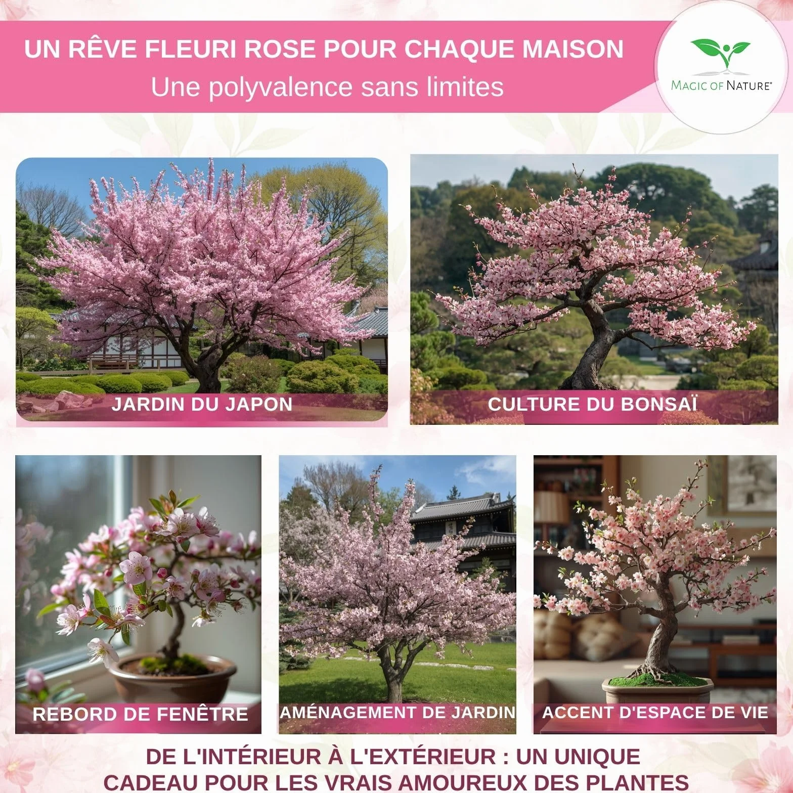 Magic of Nature Cerisier du Japon Graines de Sakura 10 Pcs - Semis Rustique Arbuste Jardin Bonsaï