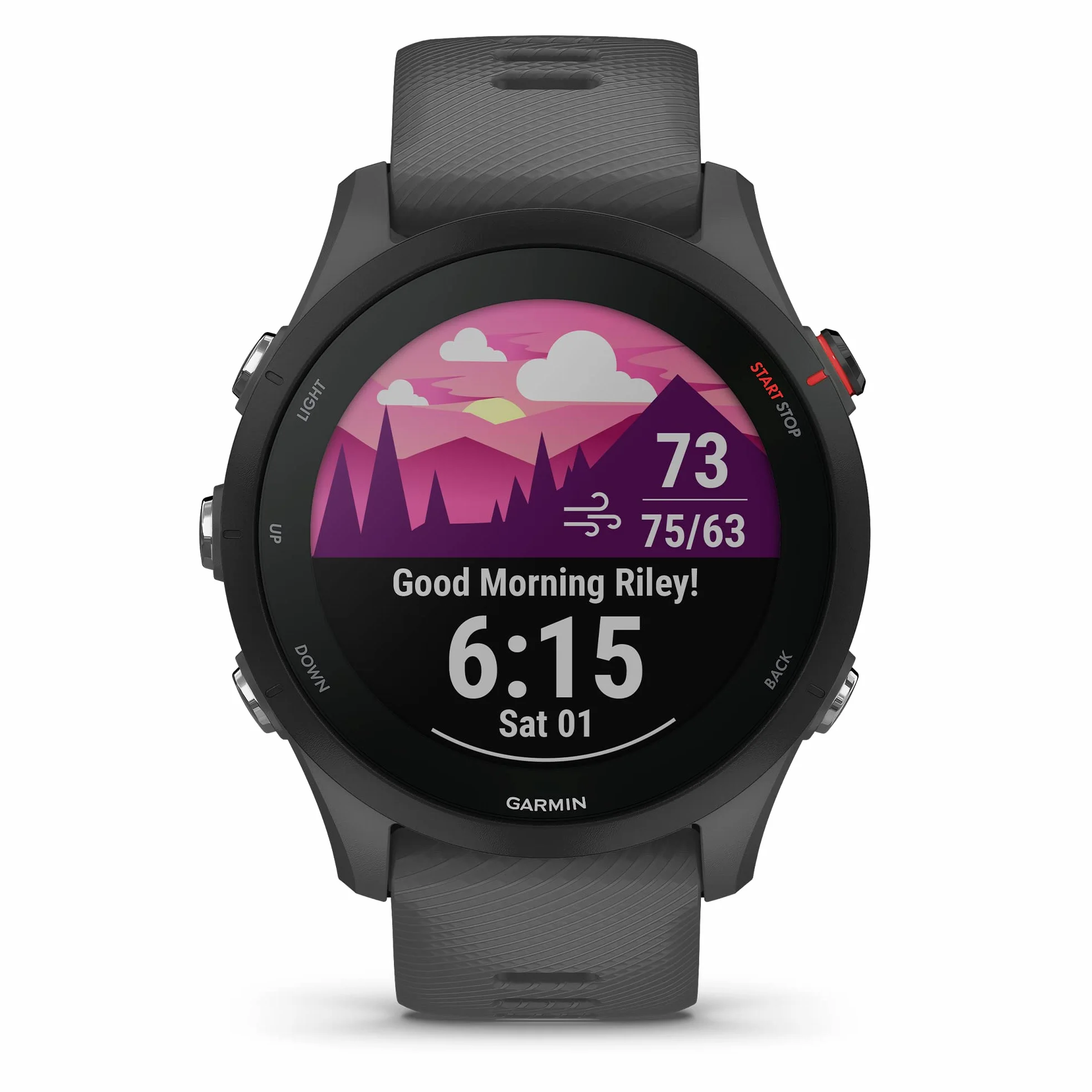 Garmin Forerunner 255 Montre intelligente GPS course à pied 46 mm gris ardoise