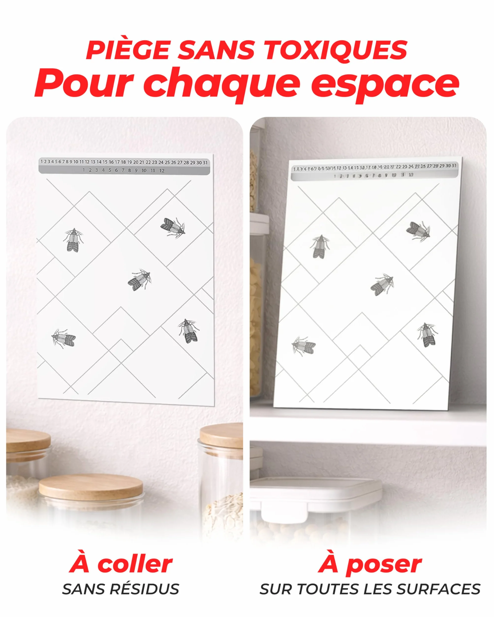 PIC Pièges à Mites Alimentaires 12 Pièges Anti Mites Alimentaires avec Phéromones Protection 8 Semaines