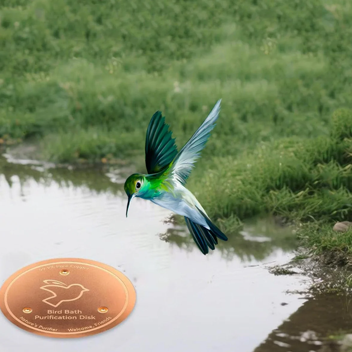 EHOTER Disque en Cuivre pour Bain d'oiseaux, Pur 99,99%, Conception Stable 3 Points (2PCS)