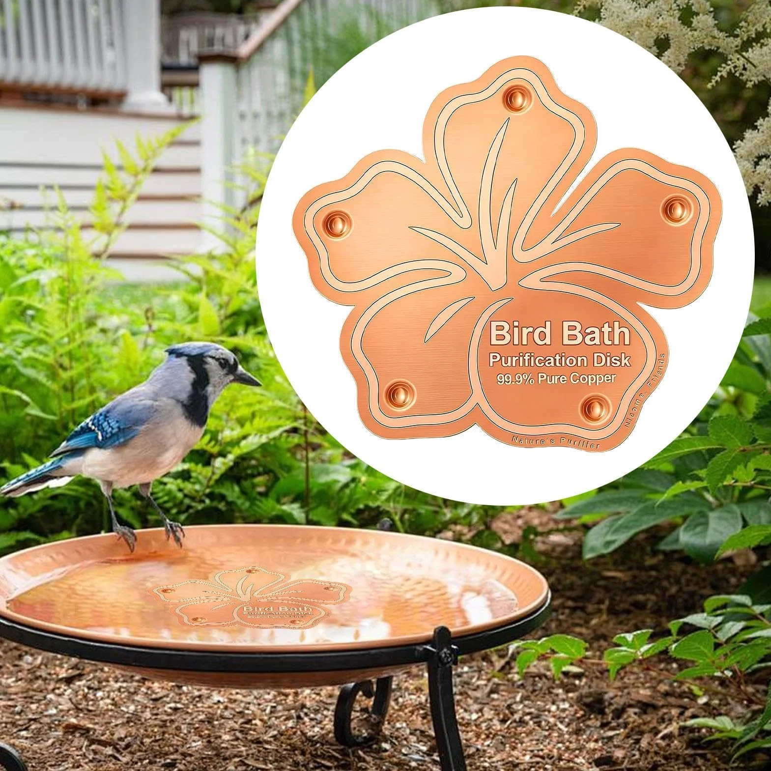 Disque en Cuivre pour Bain d'oiseaux, Accessoire Purificateur d'eau pour Jardin