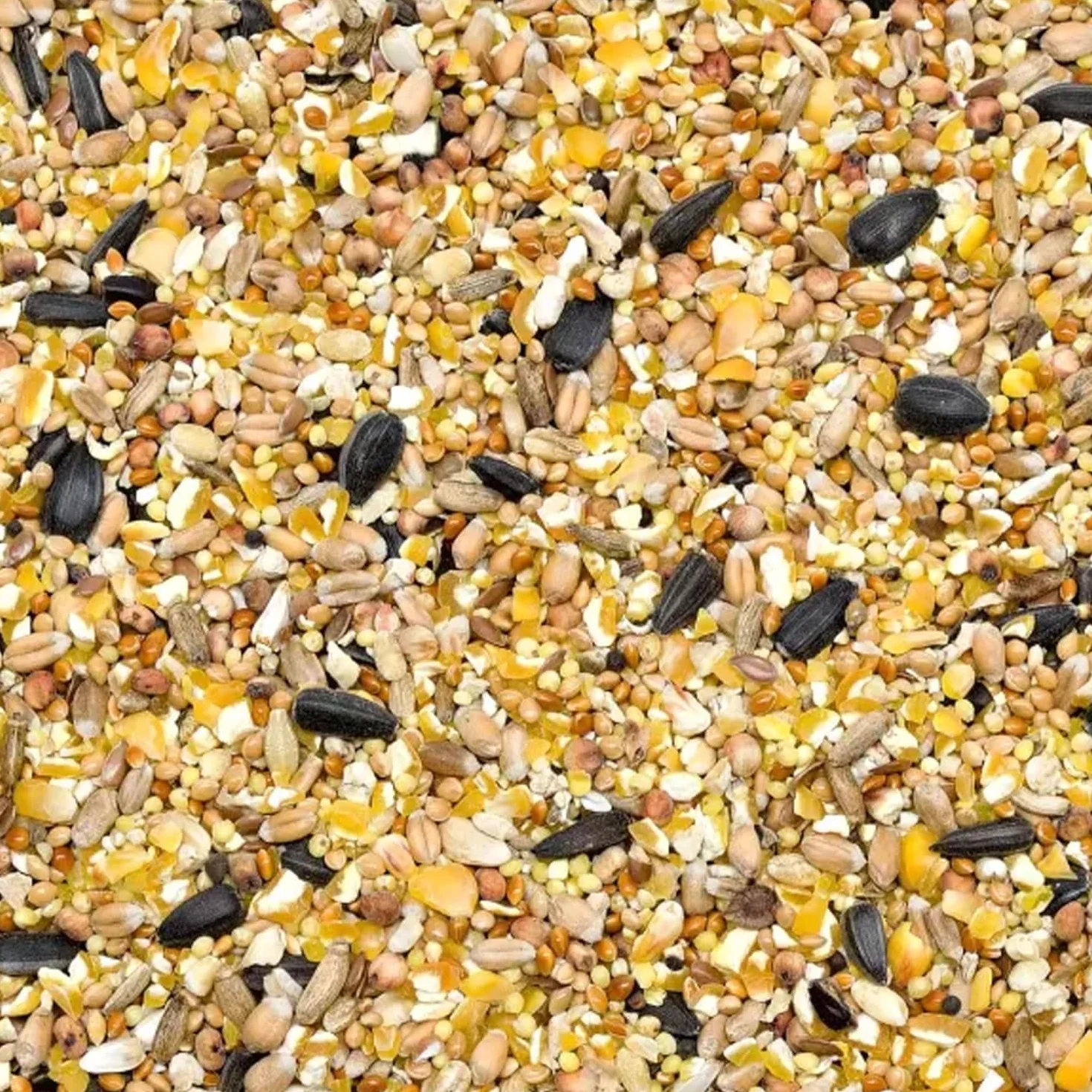 Nourriture pour oiseaux sauvages d'hiver 10 kg – graines de lin oméga-3 calcium