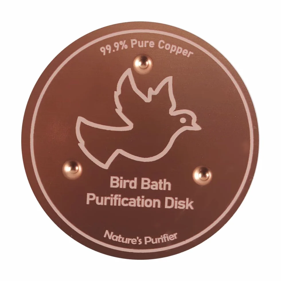 Disque en cuivre pur 99,99% pour bain d'oiseaux diamètre 100 mm