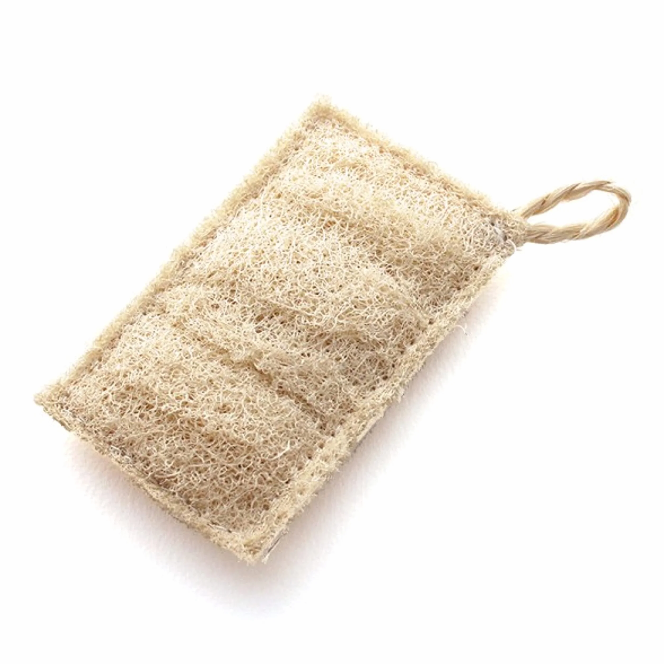 Graines de Courge éponge Luffa - éponge naturelle - semences paysannes