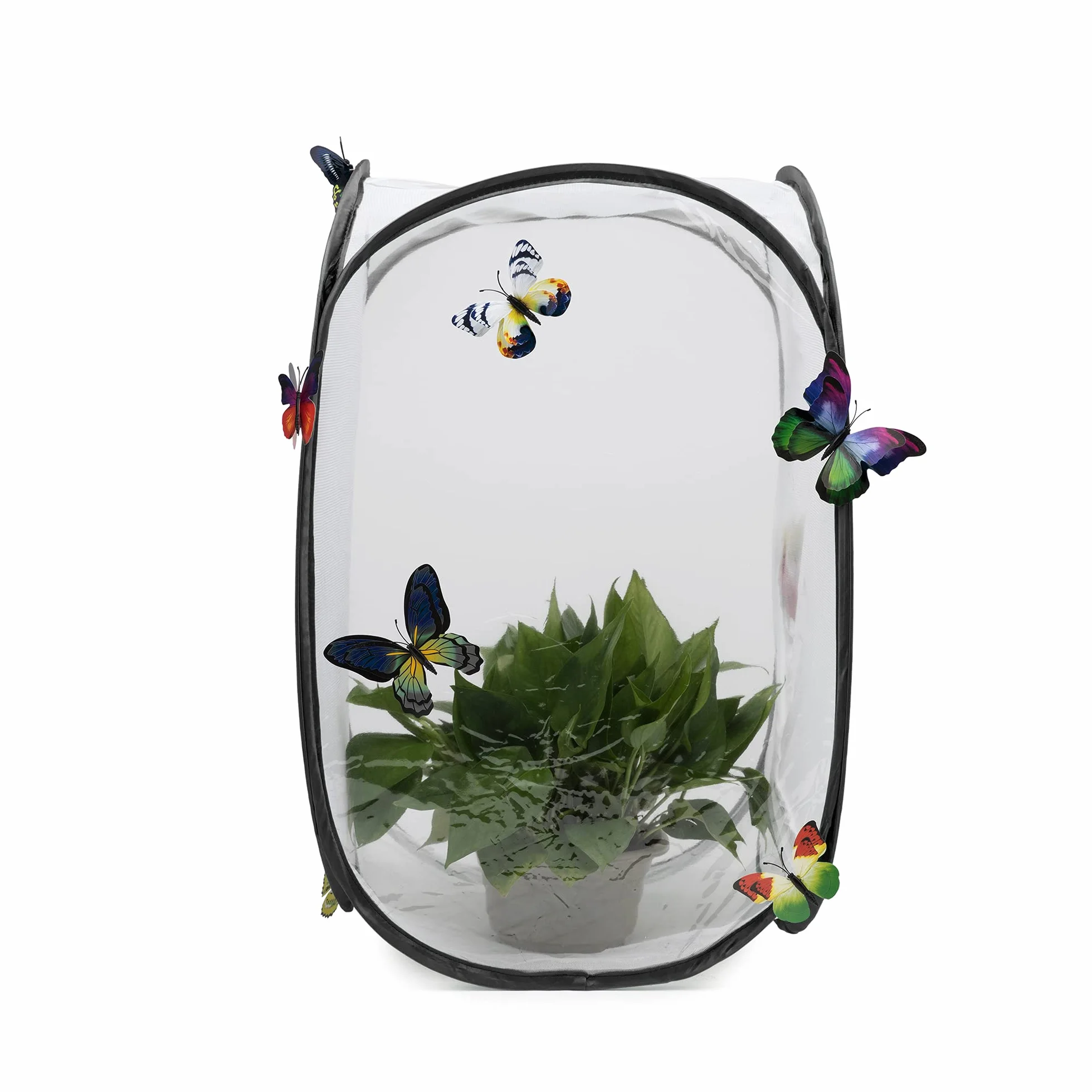 Cage à Papillon et Insectes Mesh Habitat Terrarium d'explore et Protect, Noir