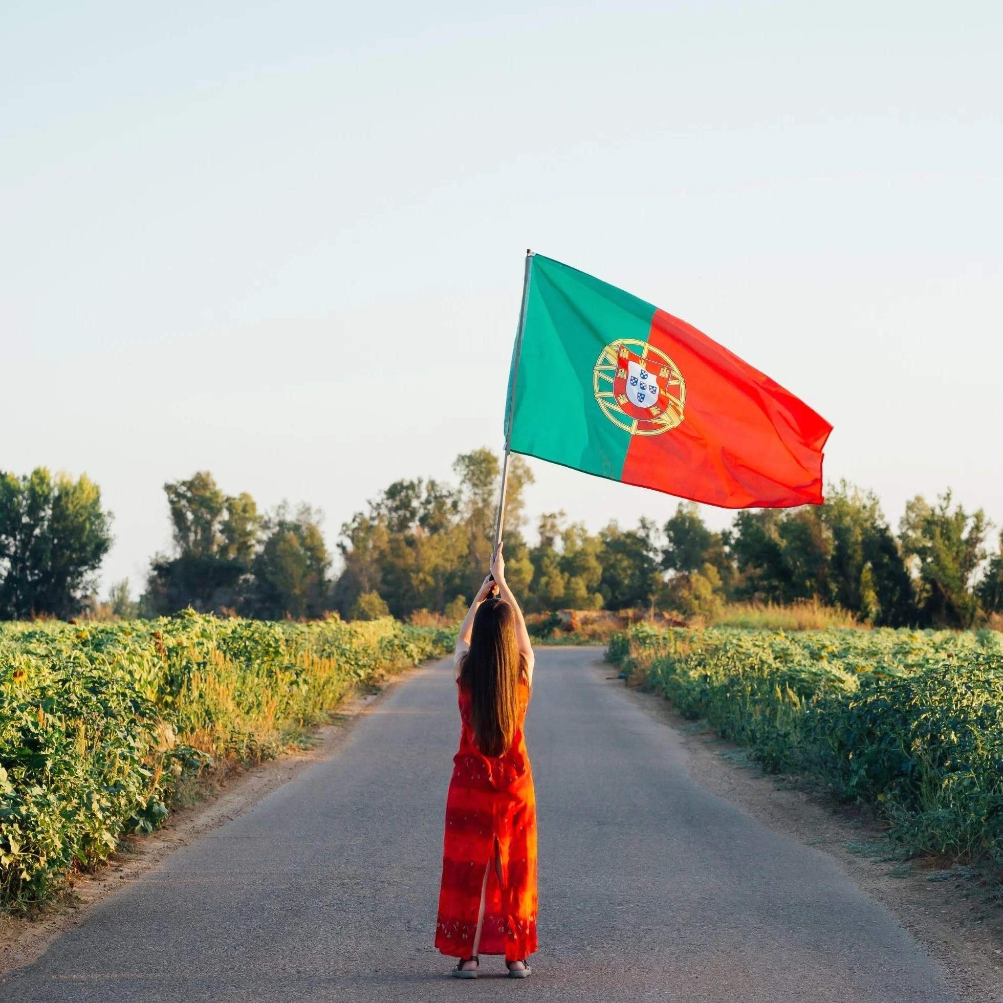 Runesol Drapeau Portugal 91x152cm 3x5ft Imperméable Extérieur Bannière Portugaise