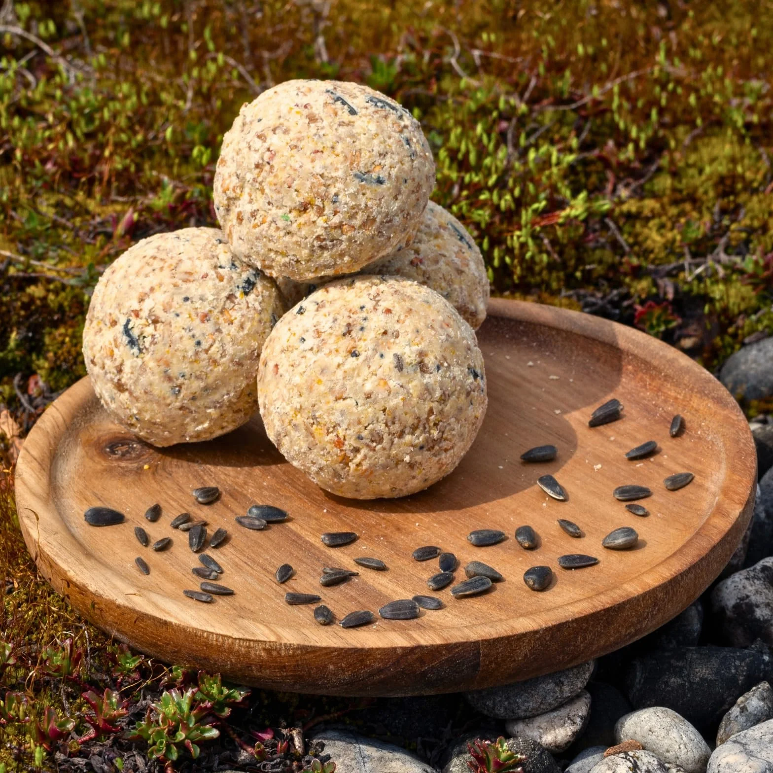 Lyra Pet® Boulettes de mésanges sans Filet 200 x 90 g Nourriture pour Oiseaux Riche en minéraux Gras & Nutritif