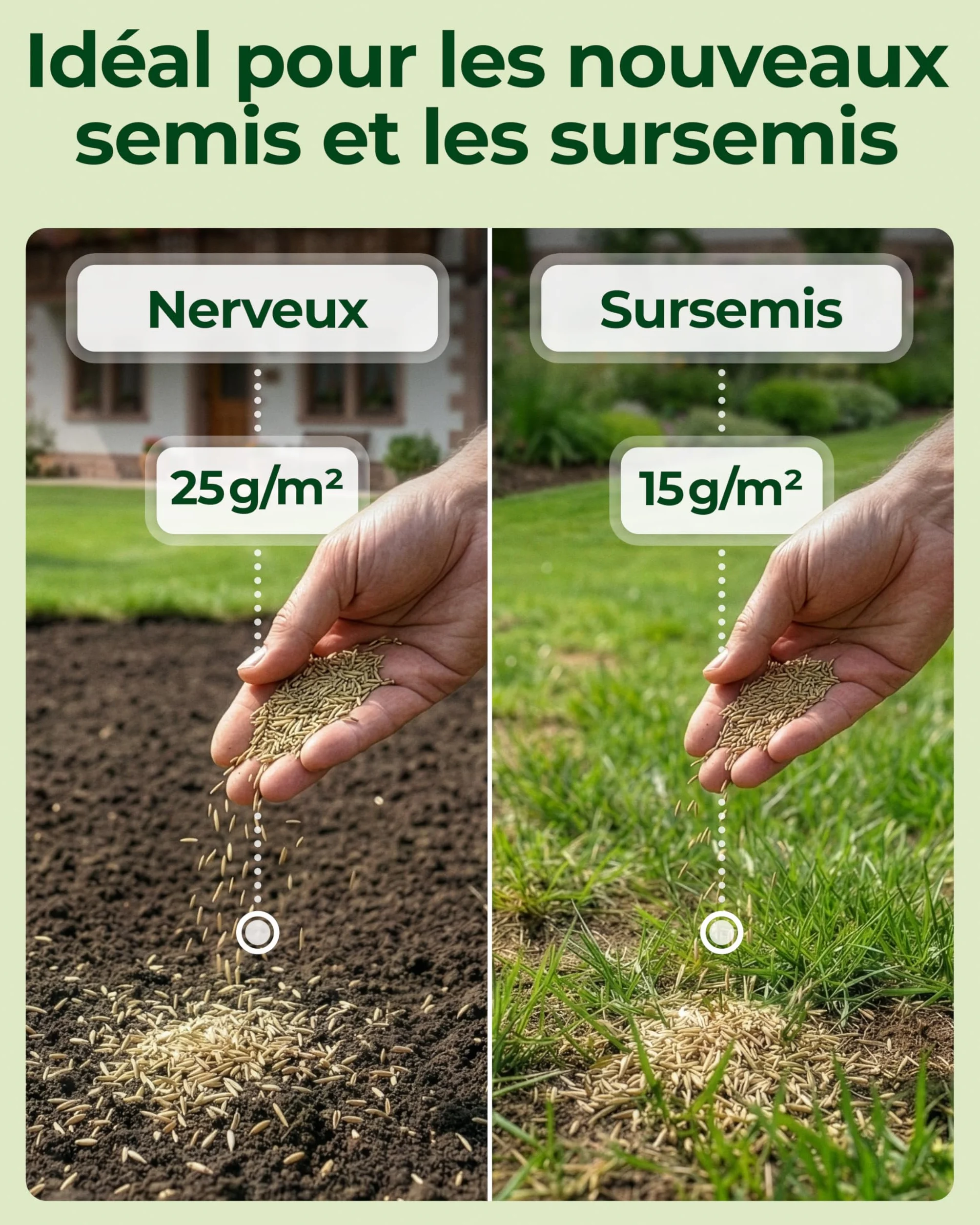Gazon Regarnissage Rapide 1kg 40m2 Fabriqué en Allemagne Résistant Autoréparation Naturelle