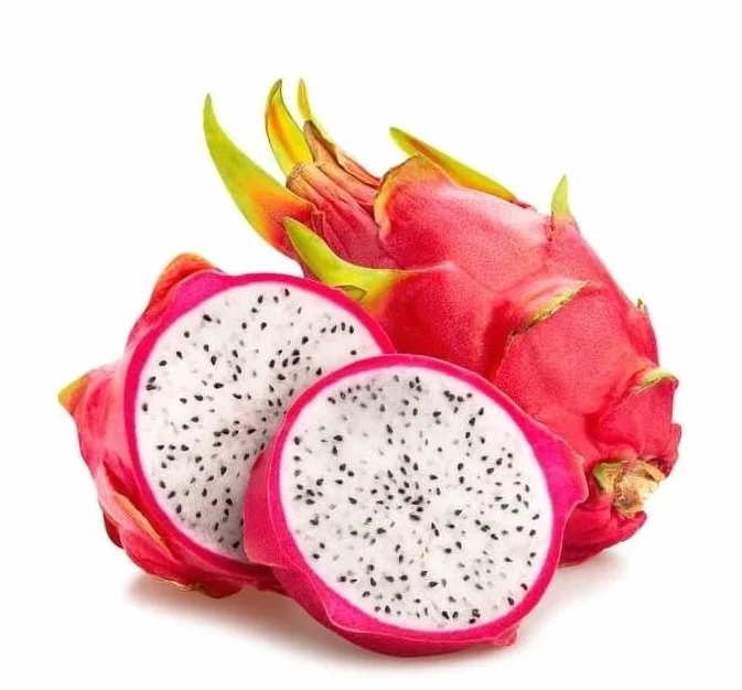 Graines FRUIT DU DRAGON Pitaya BLANC Hylocereus undatus Jardin