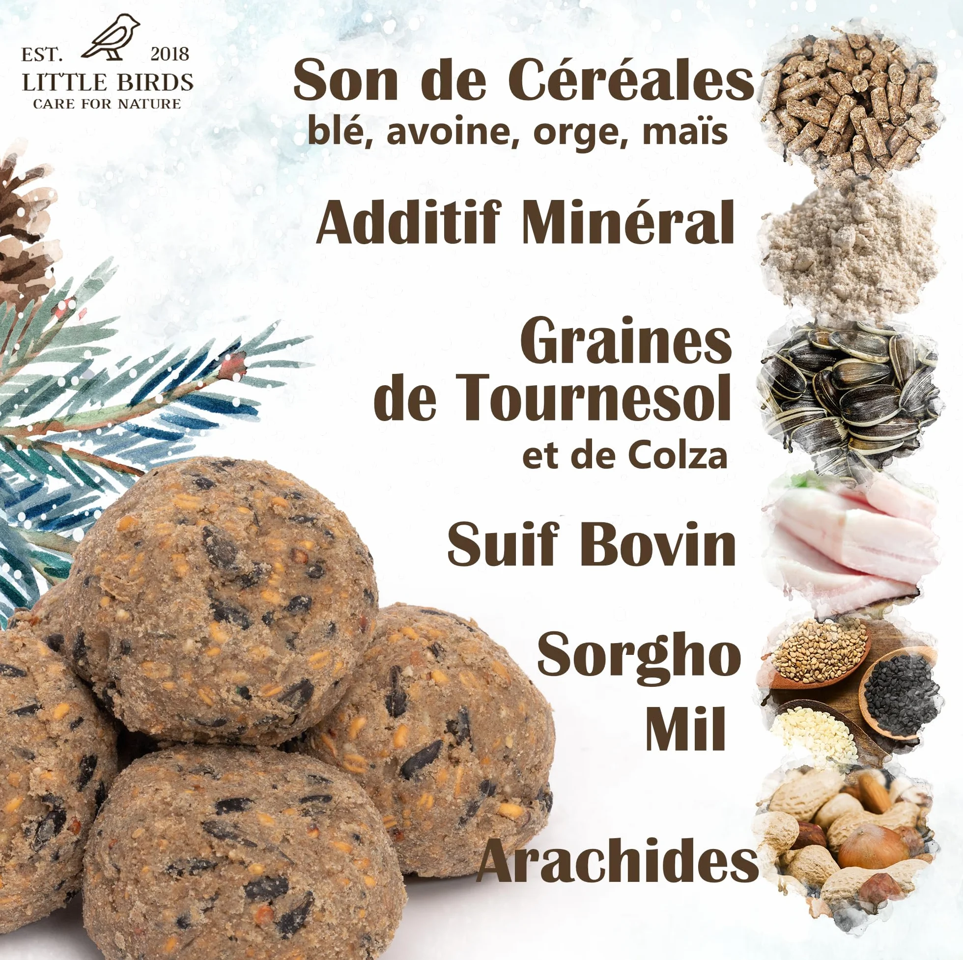 Care4Nature 60 Boules de Graisse Oiseaux du Jardin avec Mangeoire - Ingrédients Naturels