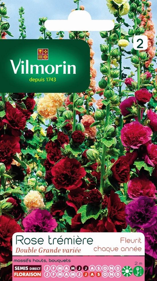 Vilmorin Pack de Graines Rose Trémière Double Grande Variée