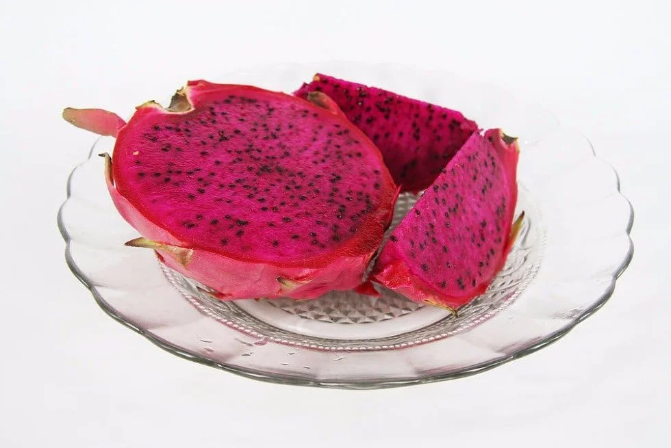 Fruit du Dragon Pitaya Rouge Sanguin Hylocereus costaricensis Graines Jardin