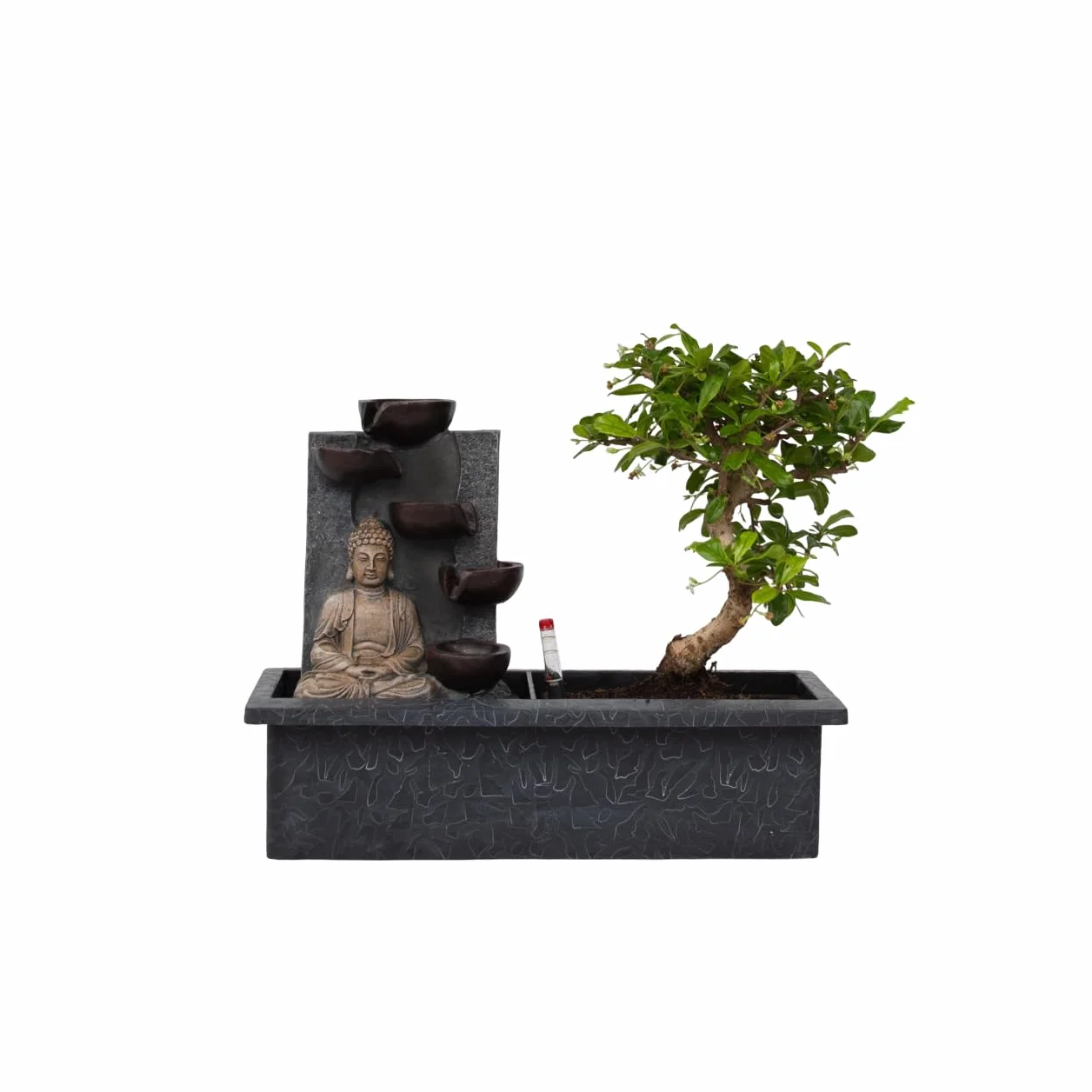 Bonsaï avec système d'eau cascade statue Bouddha plante d'intérieur 25-35cm