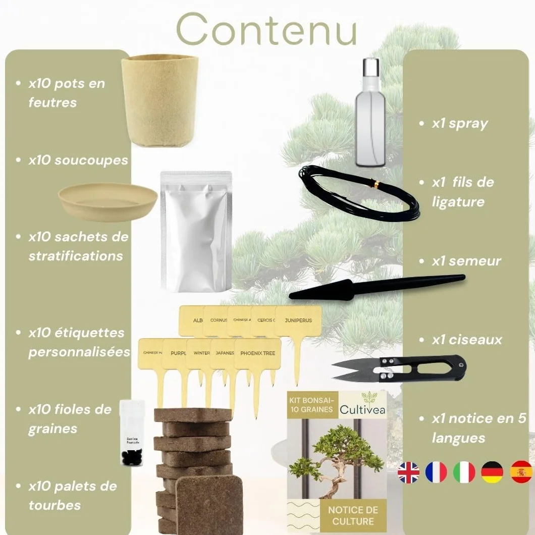CULTIVEA® Kit Bonsai Prêt à Pousser – Coffret Complet Graines Pots Outils Notice – Jardinage Intérieur