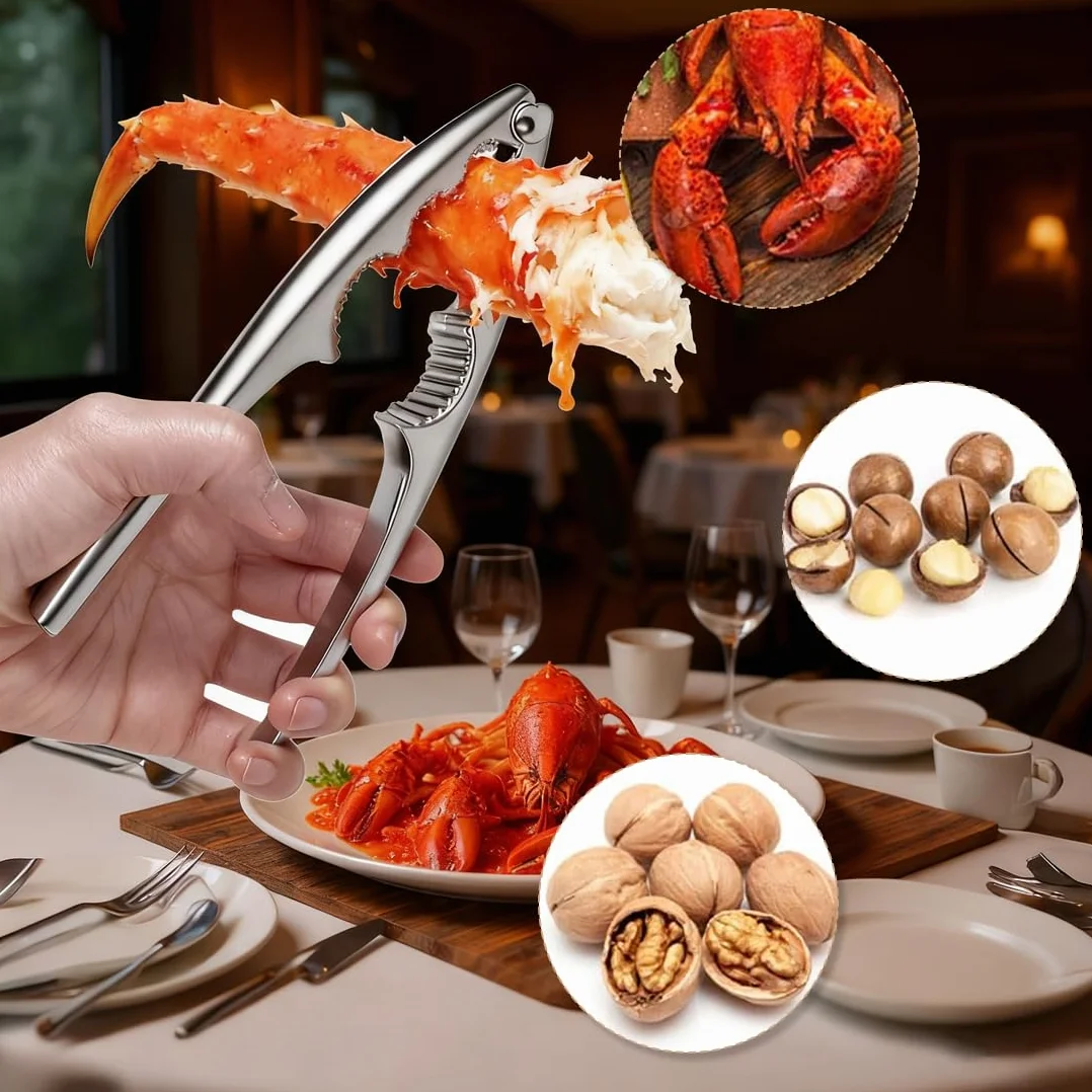 Casse-Noix en Acier Inoxydable pour Noix, Noisettes, Amandes, Homard