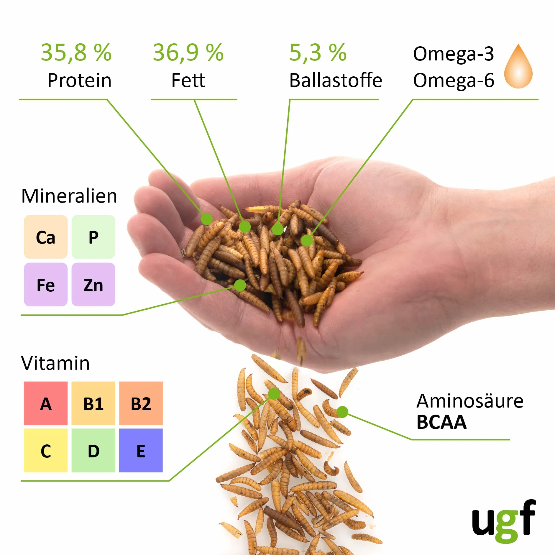 UGF Hermetia Mieux Que Les vers de Farine séchés 430 g Seau 3 litres 85 Fois Plus de Calcium Friandises pour Oiseaux Sauvages