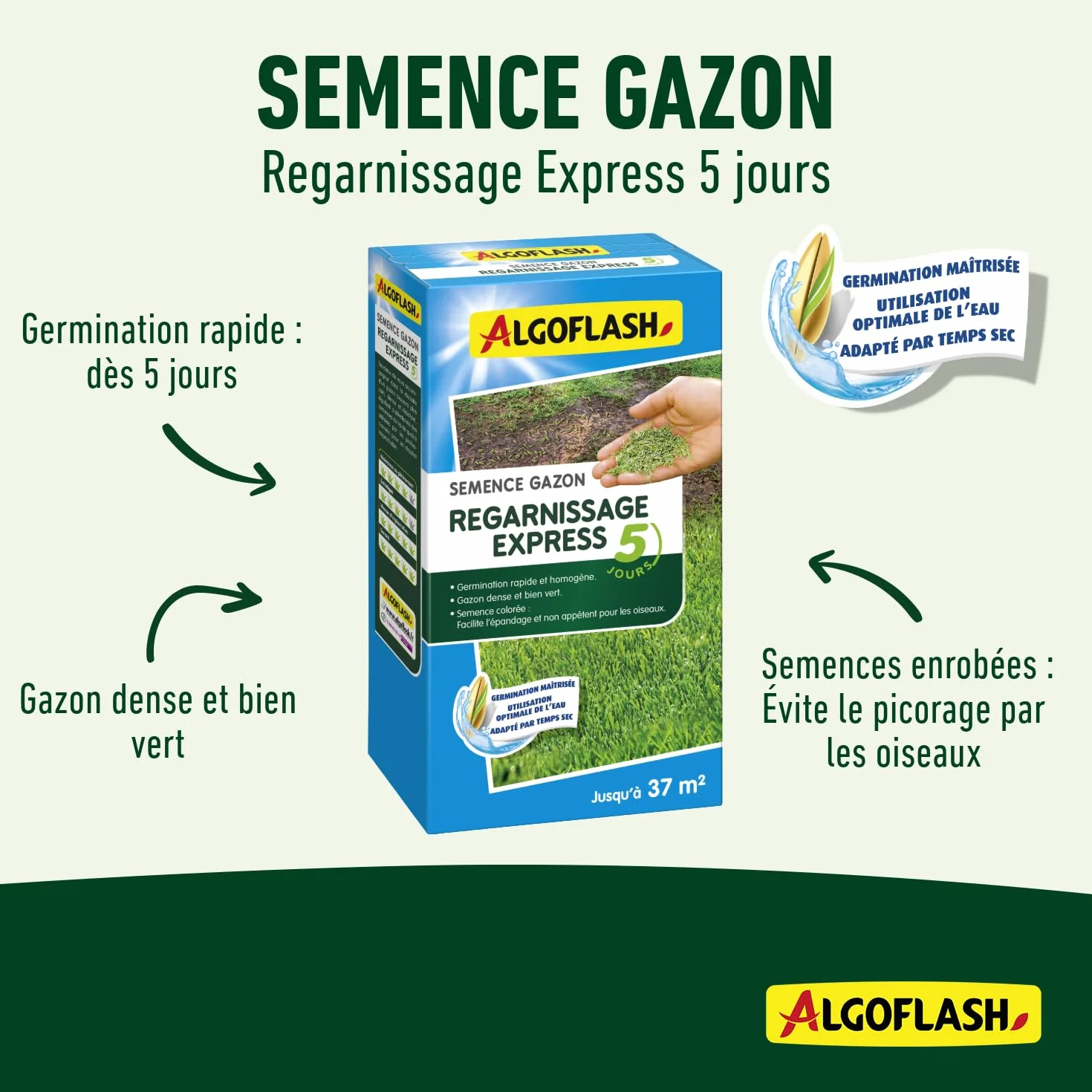 Algoflash Semence Gazon Regarnissage Express 5 Jours 800 g
