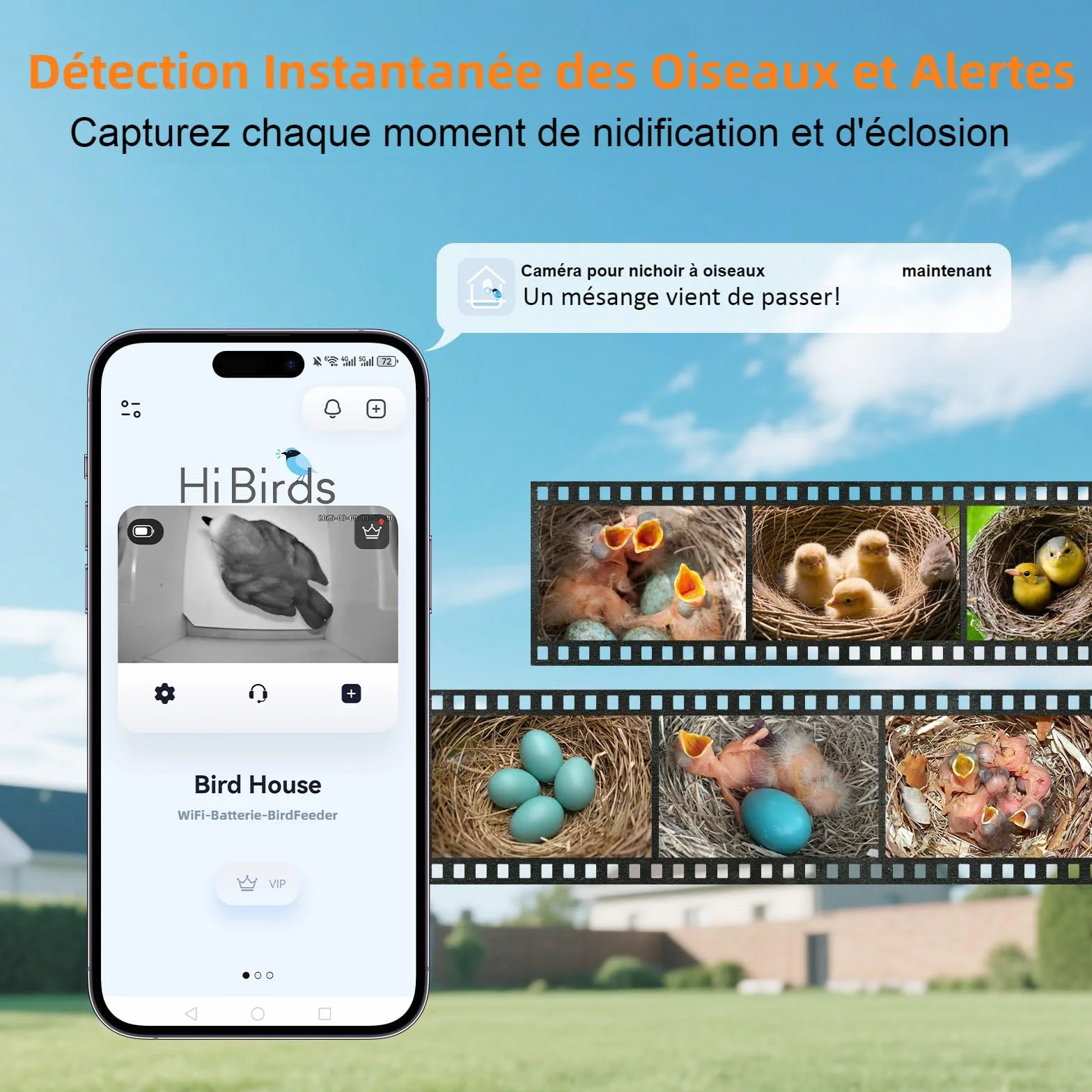 Nichoir Mésange avec Caméra 5MP Solaire WiFi 2,4G, Détection de Mouvement, Vision Nocturne