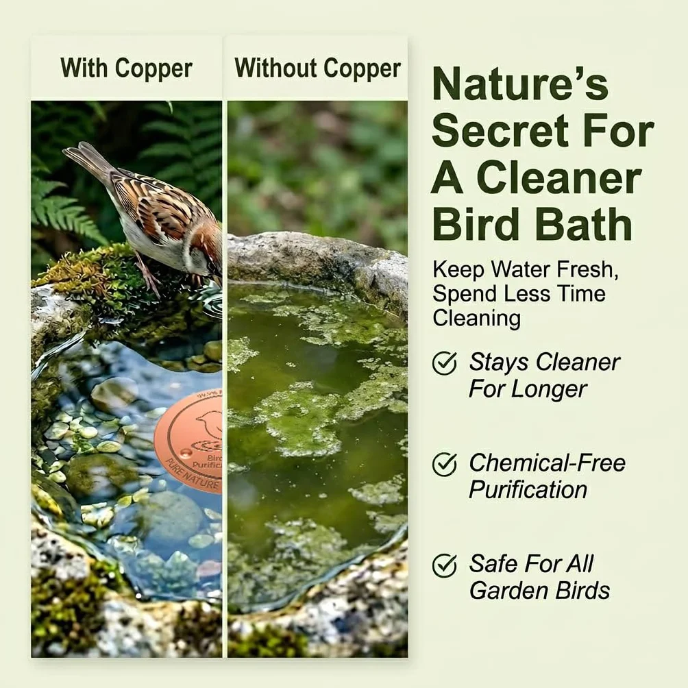 Plaque de Nettoyage en Cuivre Pur 99,99% pour Bain d'Oiseaux, Purification d'Eau sans Produits Chimiques