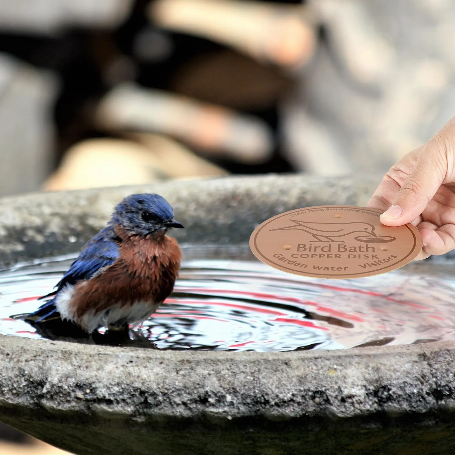 Abreuvoirs à oiseaux avec disque en cuivre 99,99% - Plaque en cuivre 0,8 mm - Lot de 2