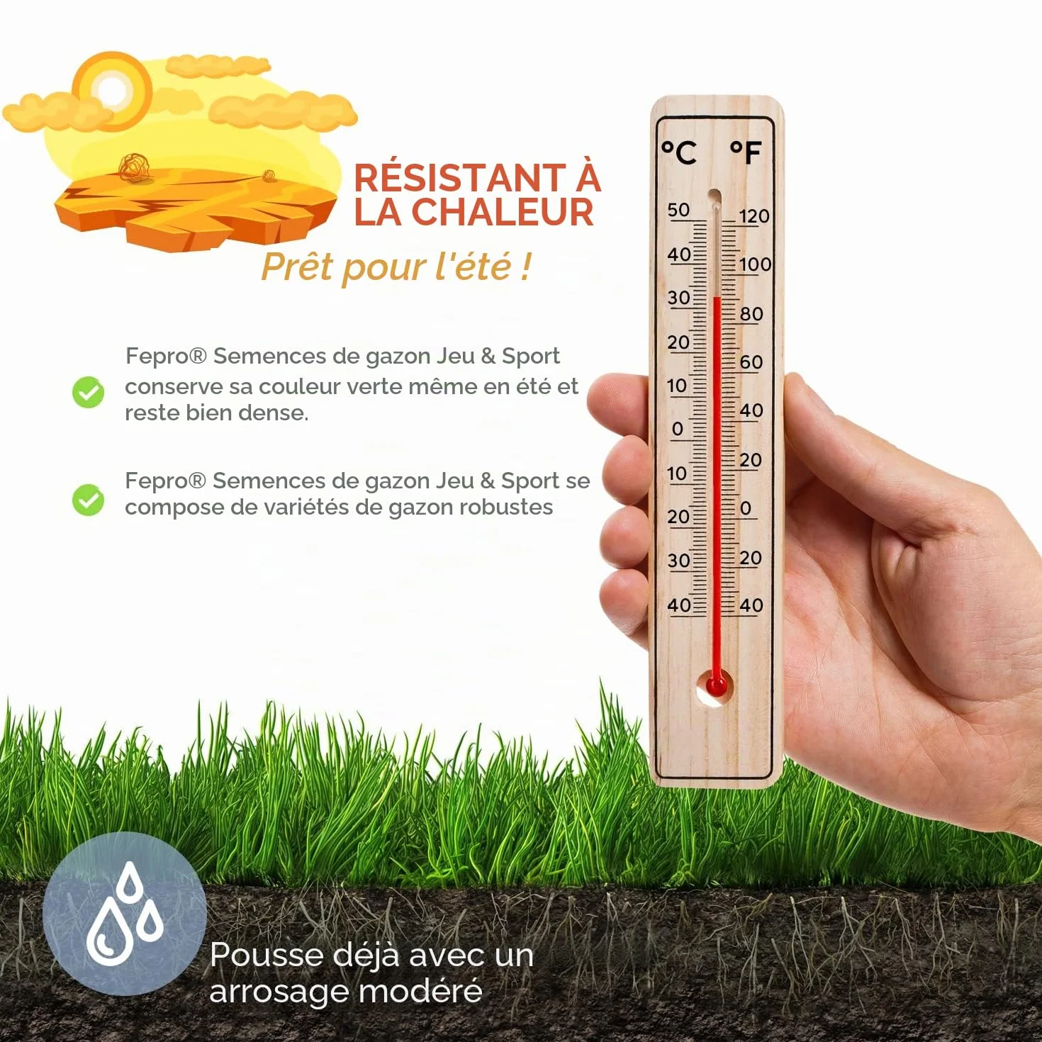 Graines pour pelouses sportives 10 kg 400 m² vert foncé robustes printemps
