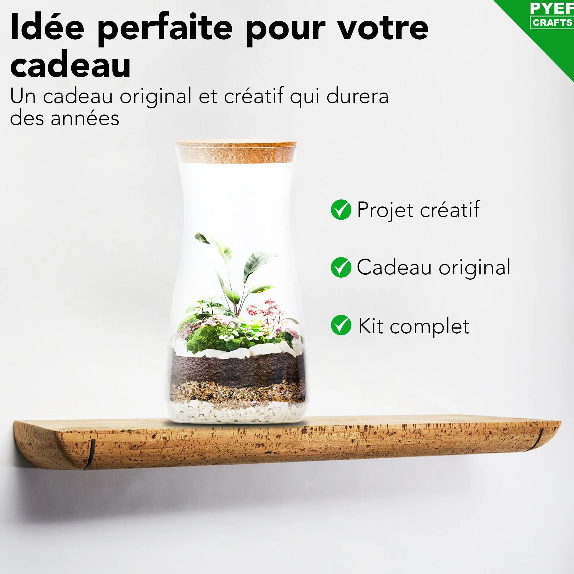 Kit Terrarium Plante DIY Prêt-à-Pousser Jardin en Bouteille XL