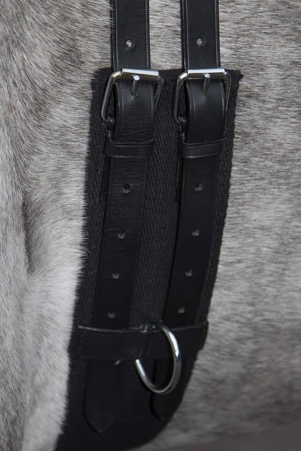 HKM 12701 Sangle de Longe en Toile avec Double poignée Fixe pour Poney Noir