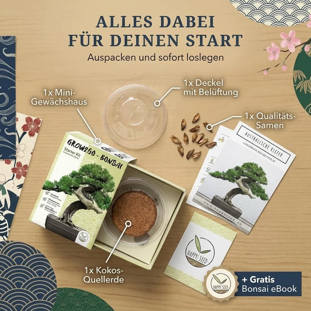Kit Bonsai GROW2GO avec mini-serre, graines et terre - Pin Australien