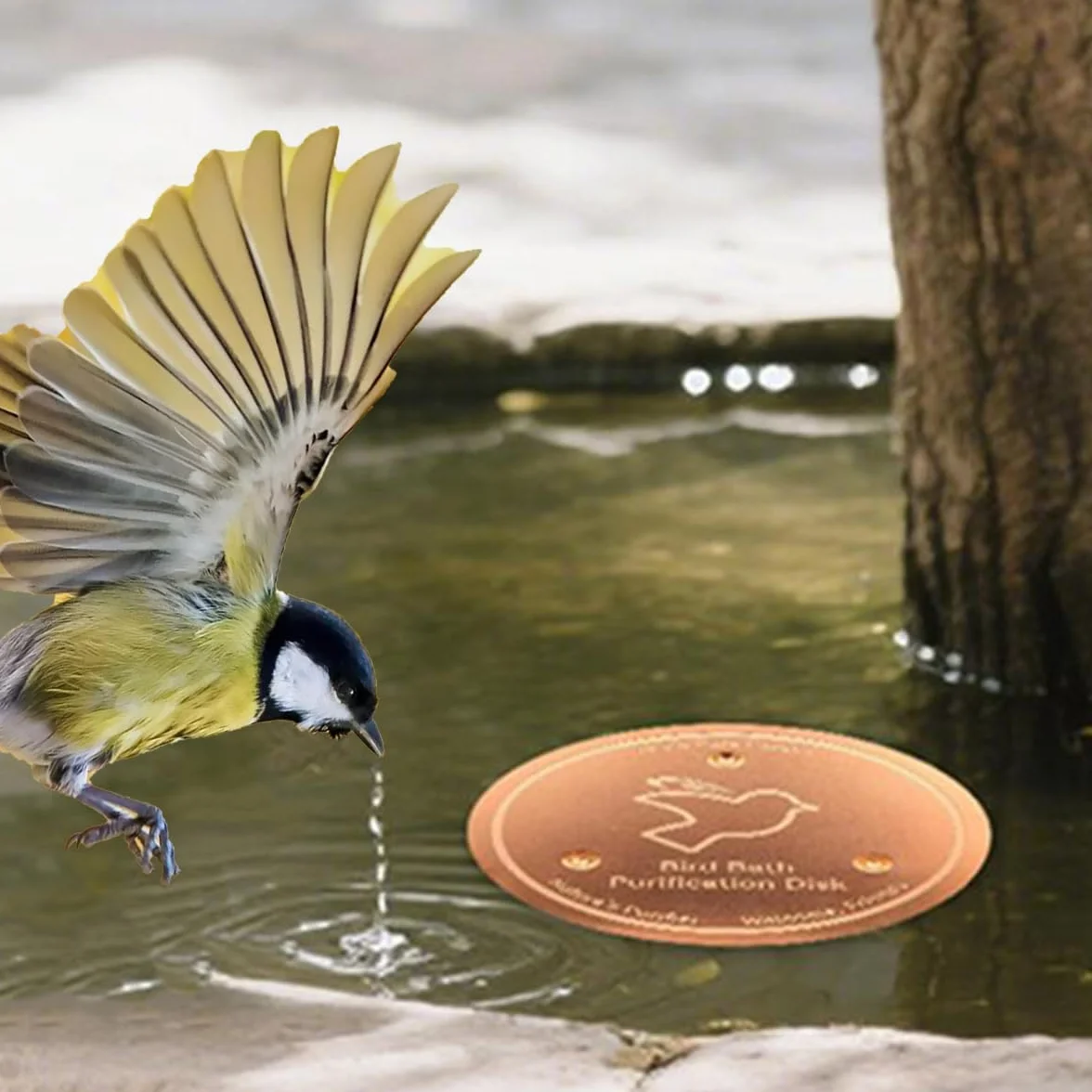 EHOTER Disque en Cuivre pour Bain d'oiseaux, Pur 99,99%, Conception Stable 3 Points (2PCS)