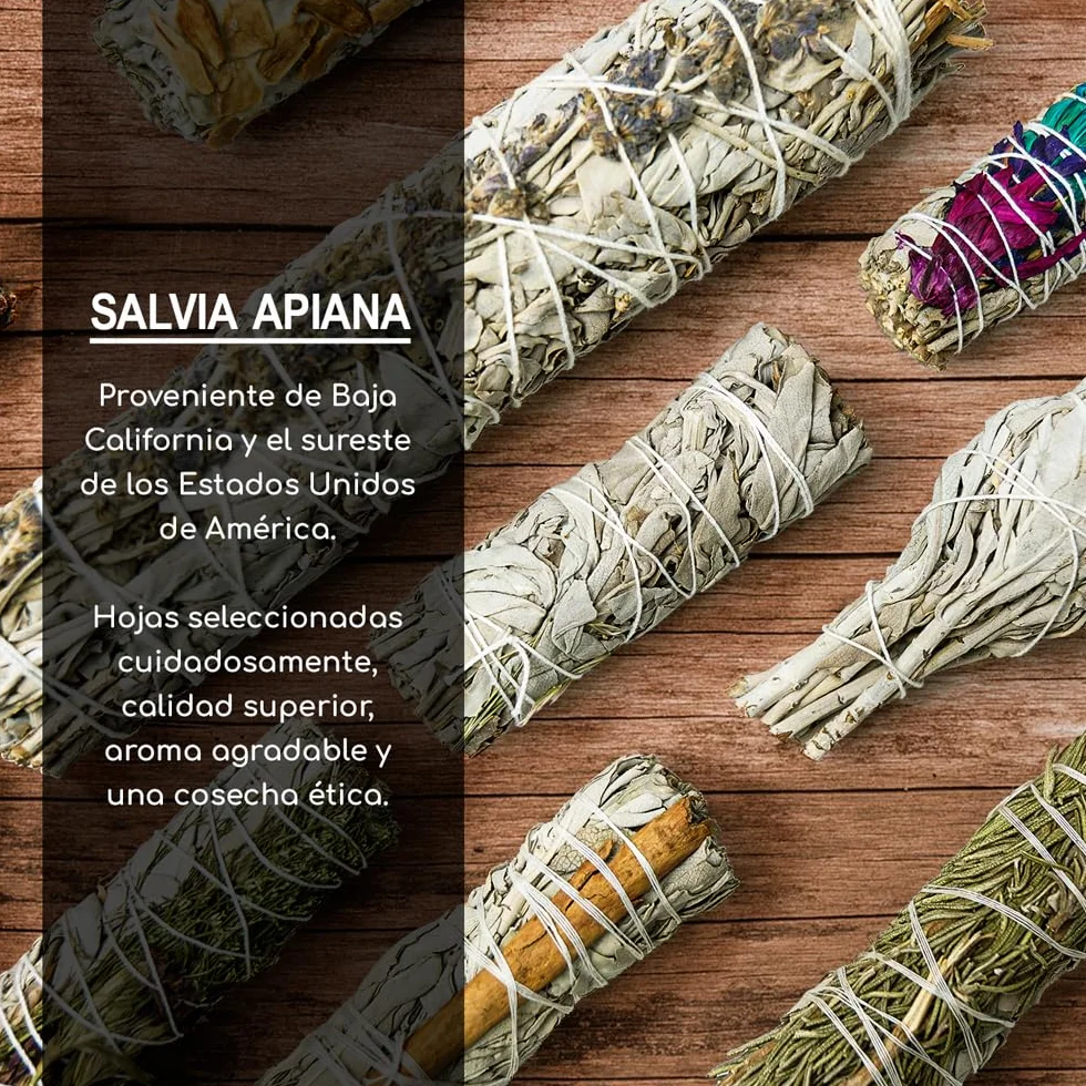 Sauge Blanche à Brûler 100% Naturelle - Salvia Apiana Sacrée - Purification Énergétique, Nettoyage Spirituel, Méditation