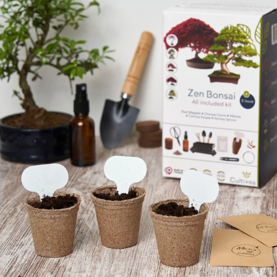 CULTIVEA® Kit Bonsaï Premium Prêt à Pousser - Outils, Ciseaux, Fil pour Entretien de Bonsaïs
