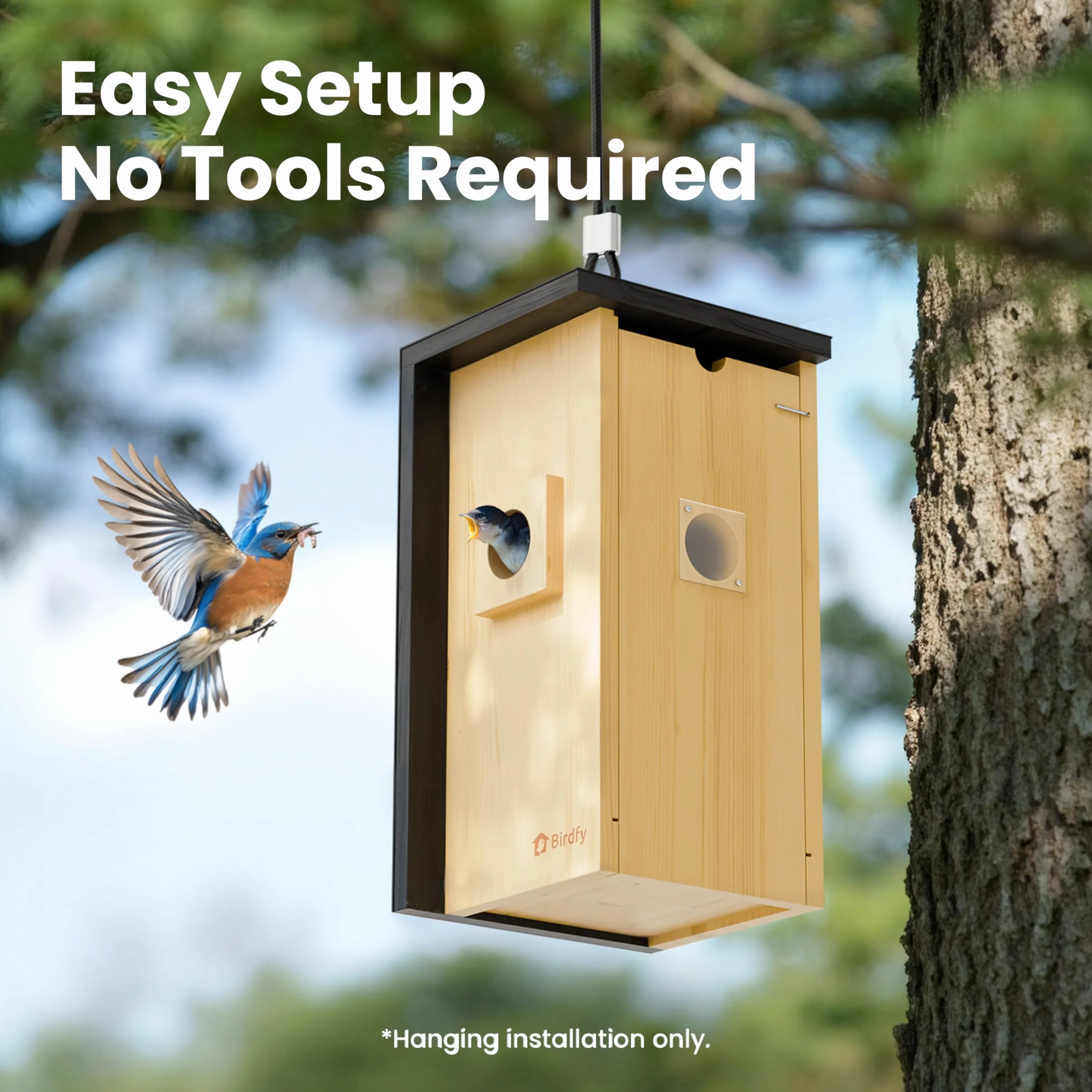 Birdfy Nichoir à oiseaux avec caméra 2 mégapixels, observation en temps réel