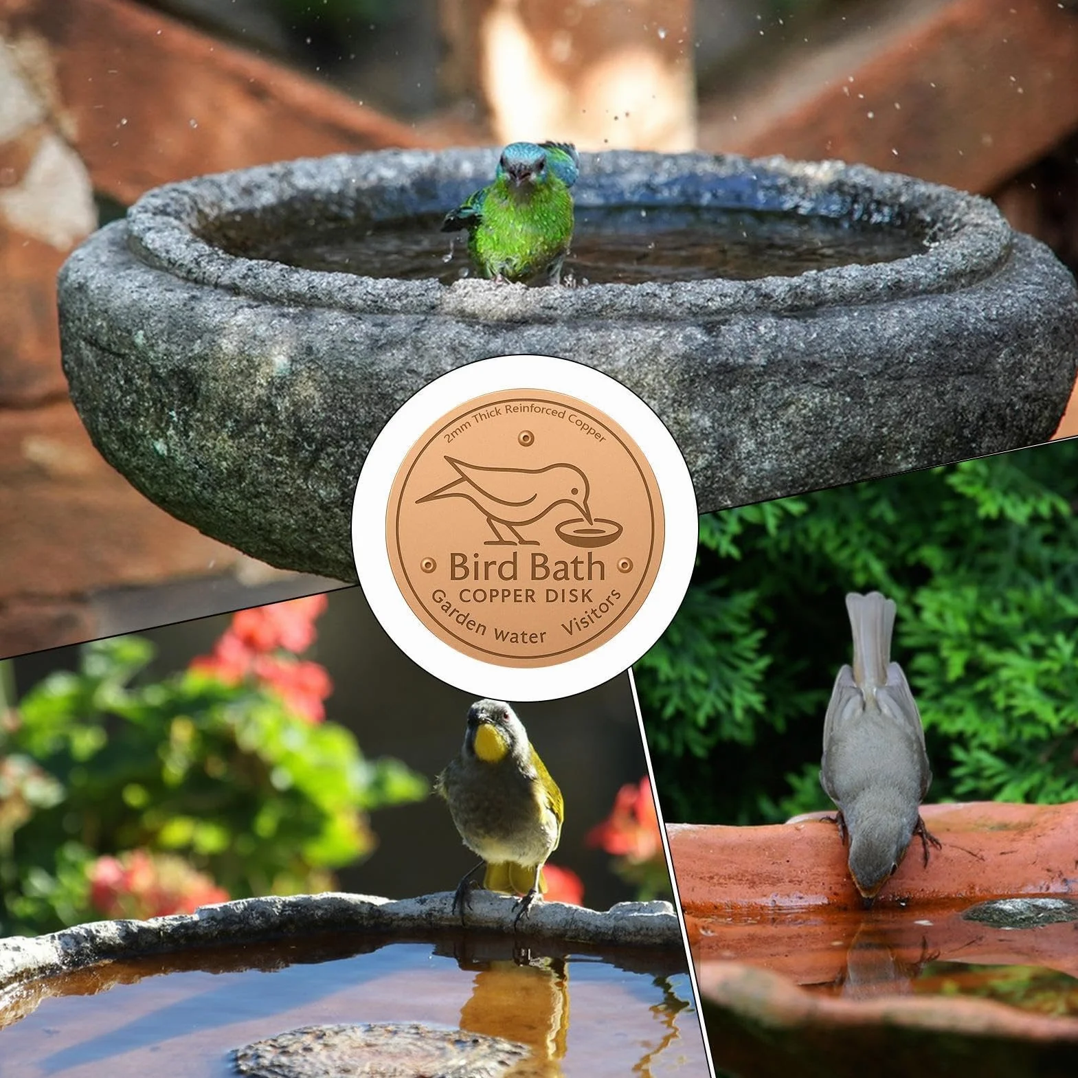Plaques en Cuivre pour Bain d'oiseaux 10cm Disque De Nettoyage Support À Trois Points