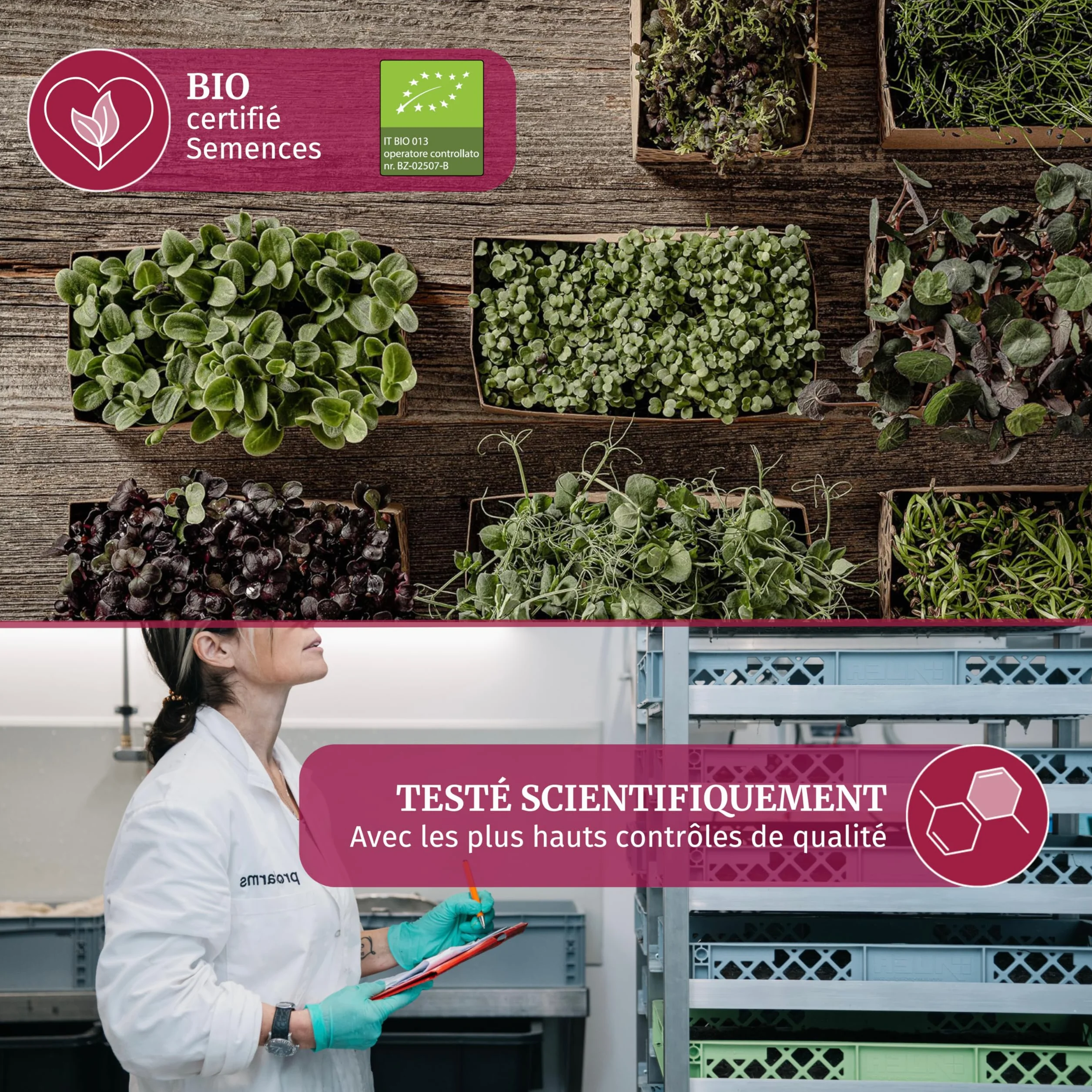 LERAVA® Kit de Microgreens BIO - Graines à Germer avec 6 Tapis de Chanvre