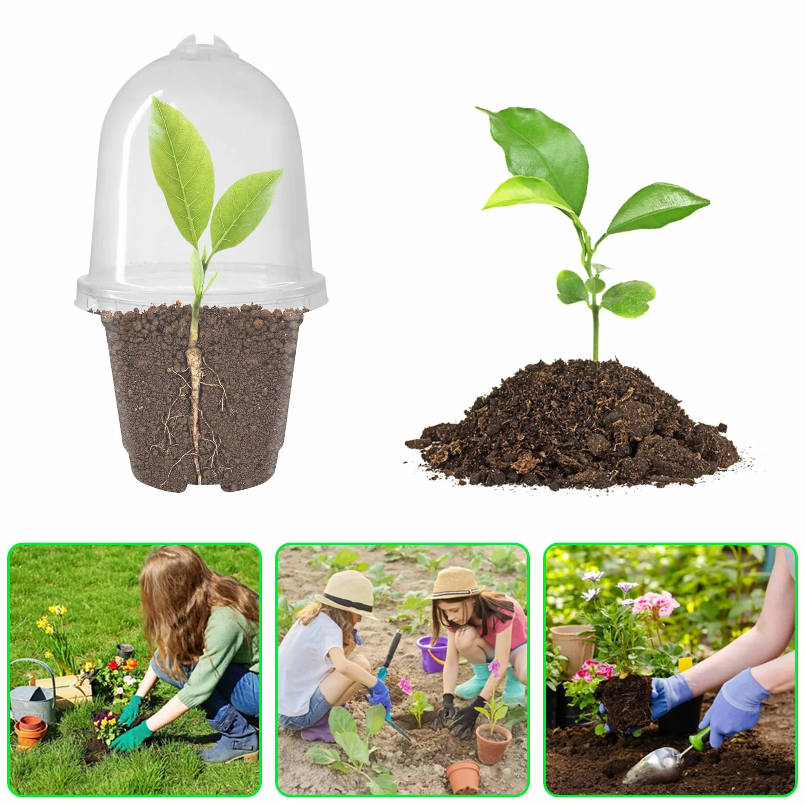 Pots de Semis 9cm Plastique Transparent Godets repiquage avec Trous de Drainage 12 Pièces